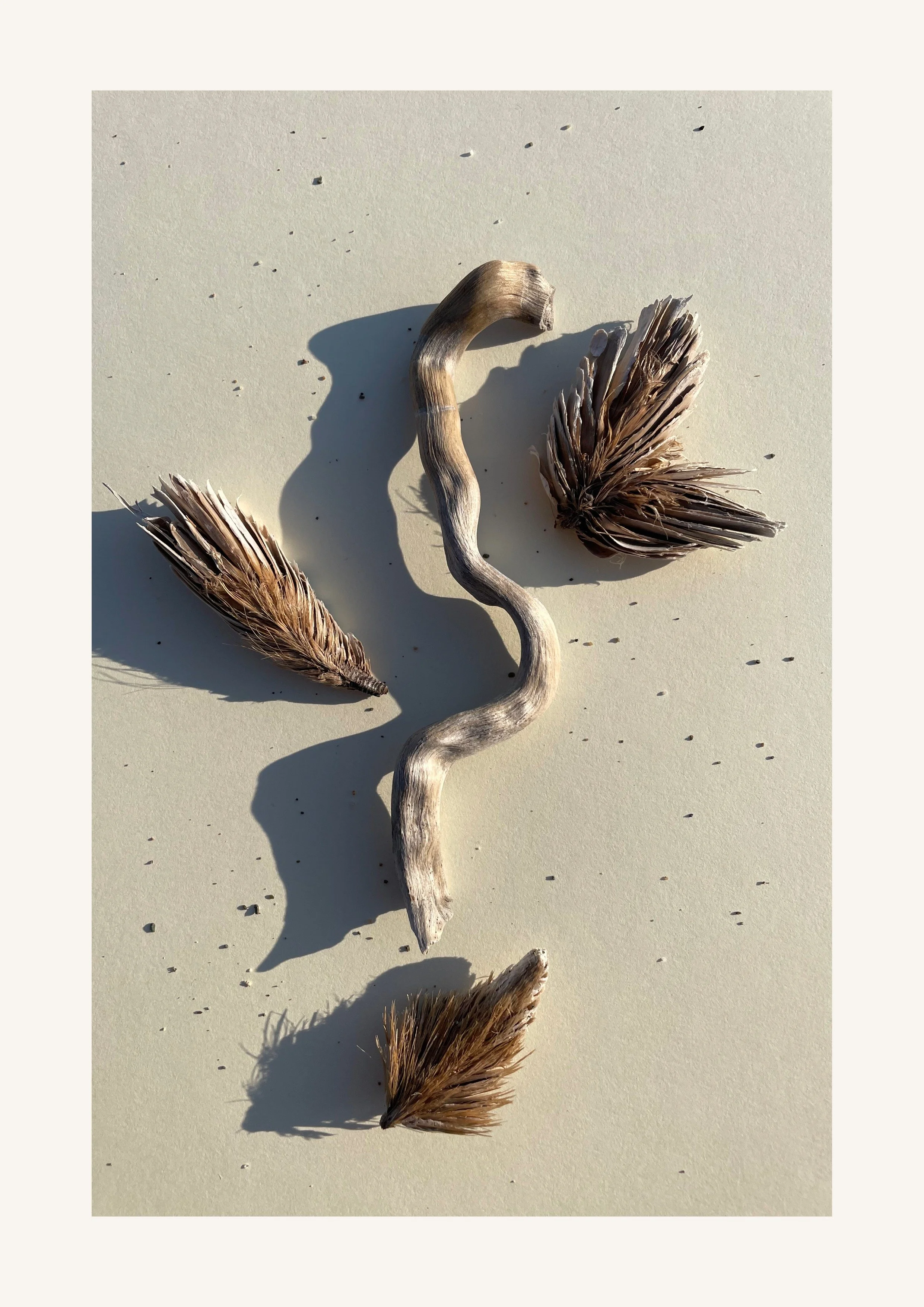 Sonnentanz Orakelbuch I-95.jpeg