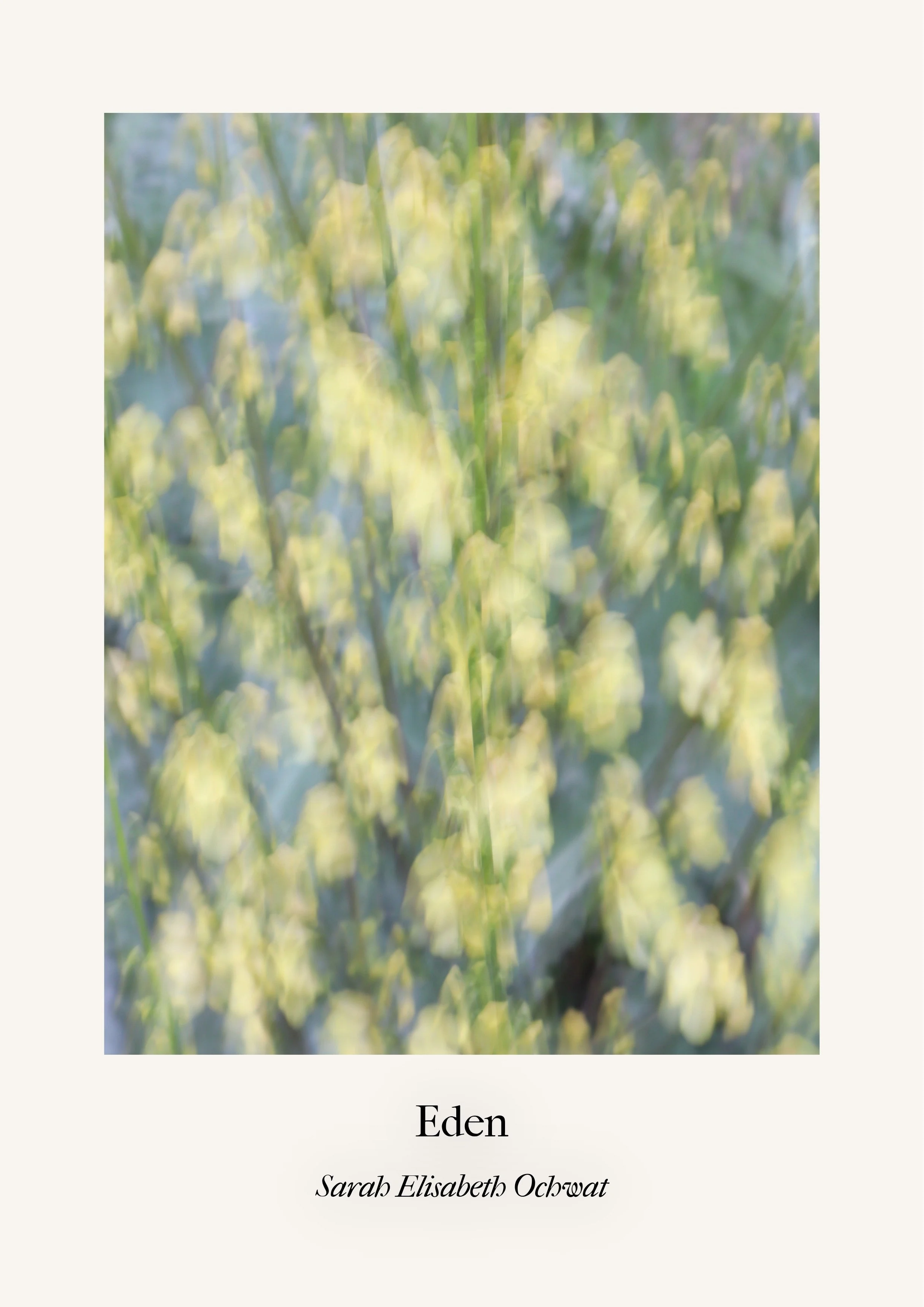 EDEN. Gedichte