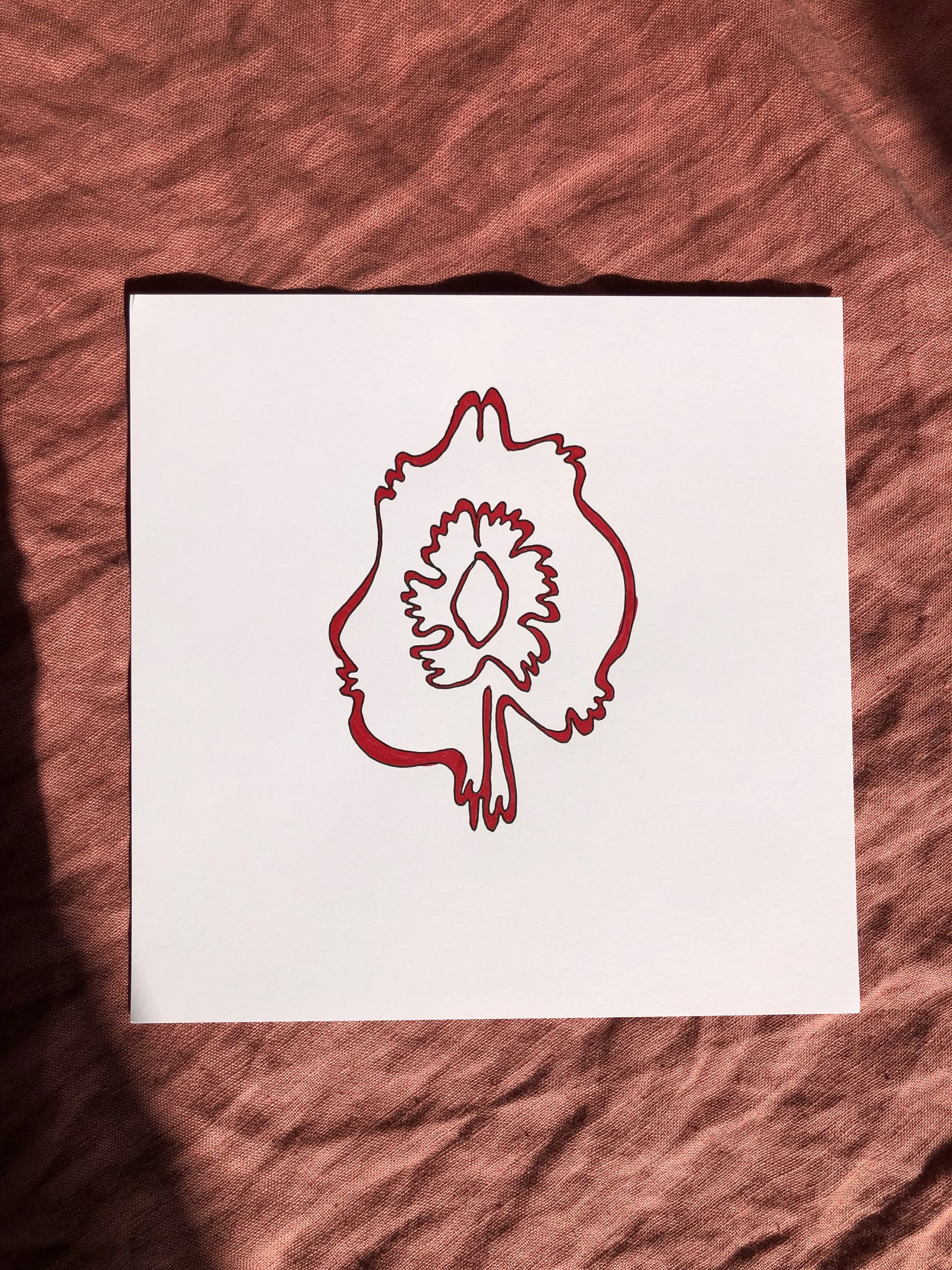 sarah-shop-enigma-1.jpeg