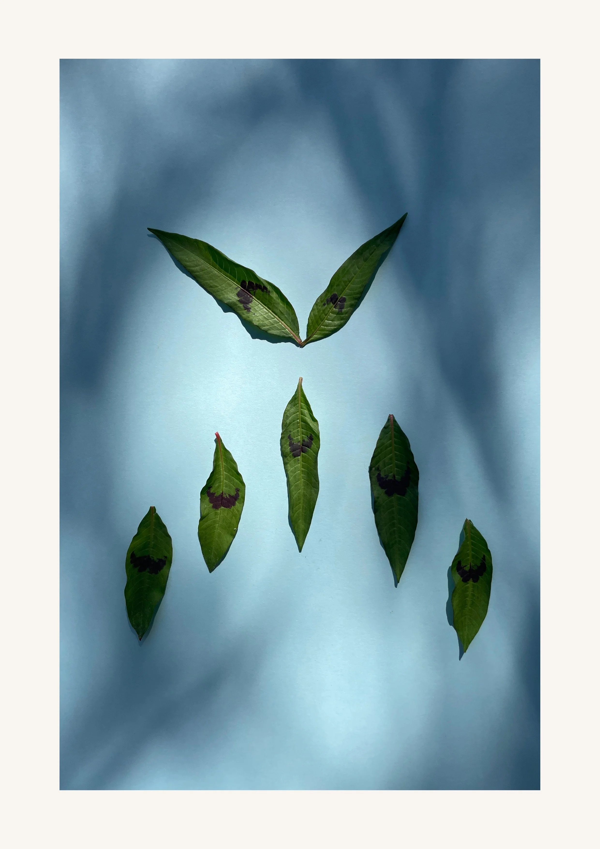 Identität Orakelbuch II-69.jpeg