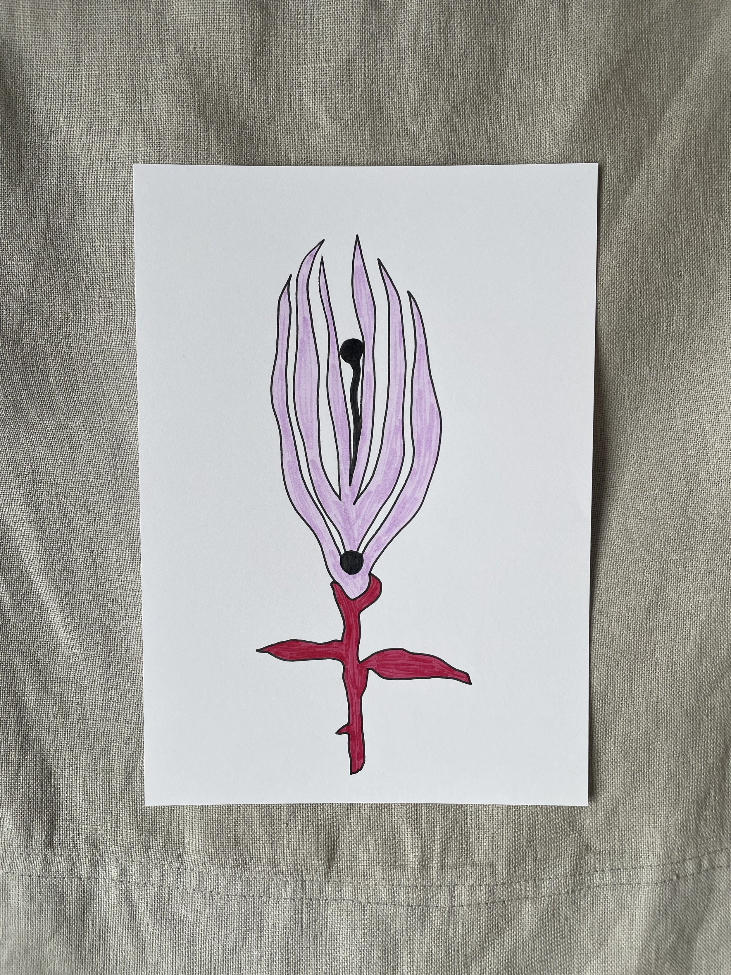 Blüte des Kontrasts