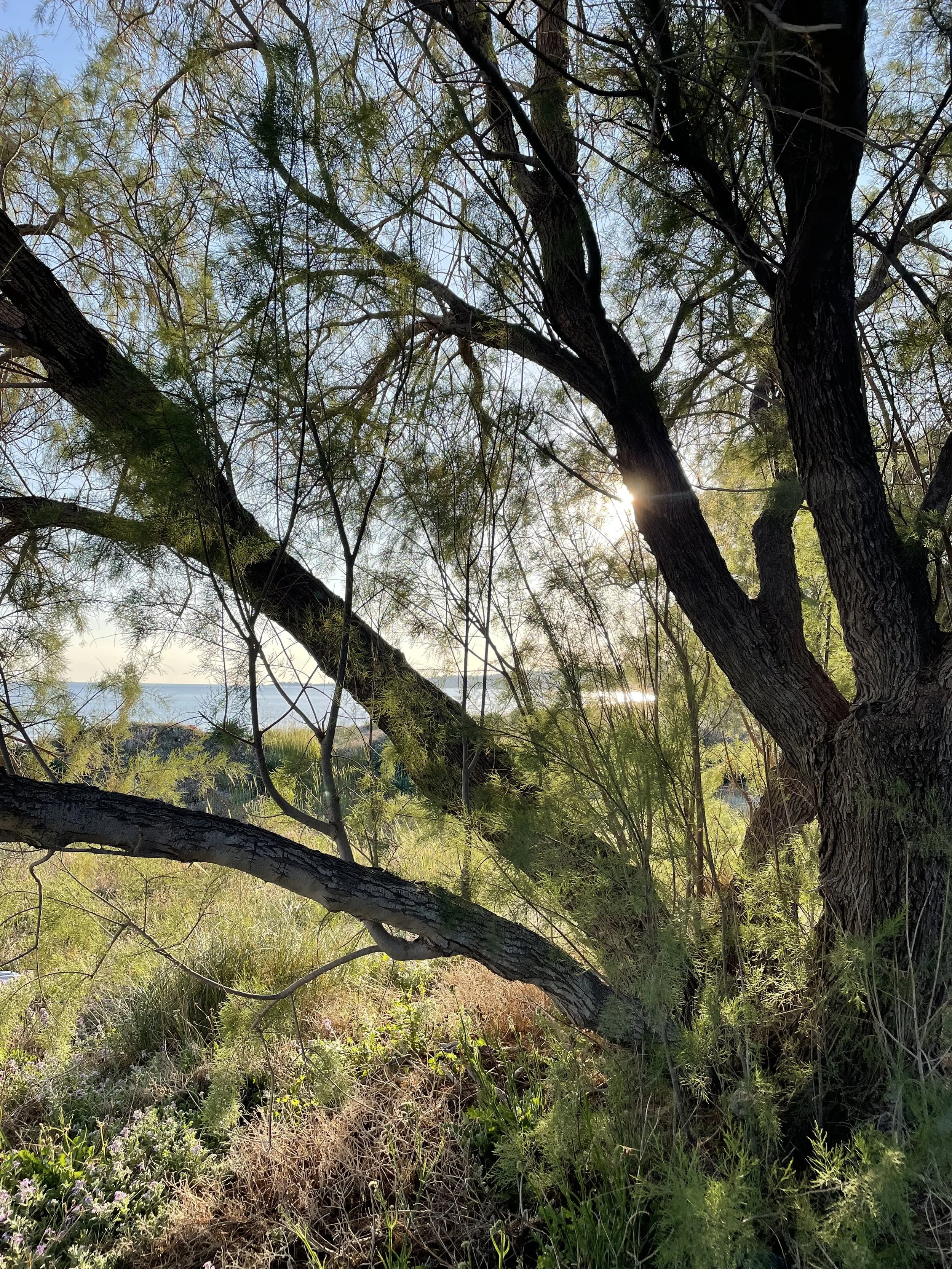 the secret place