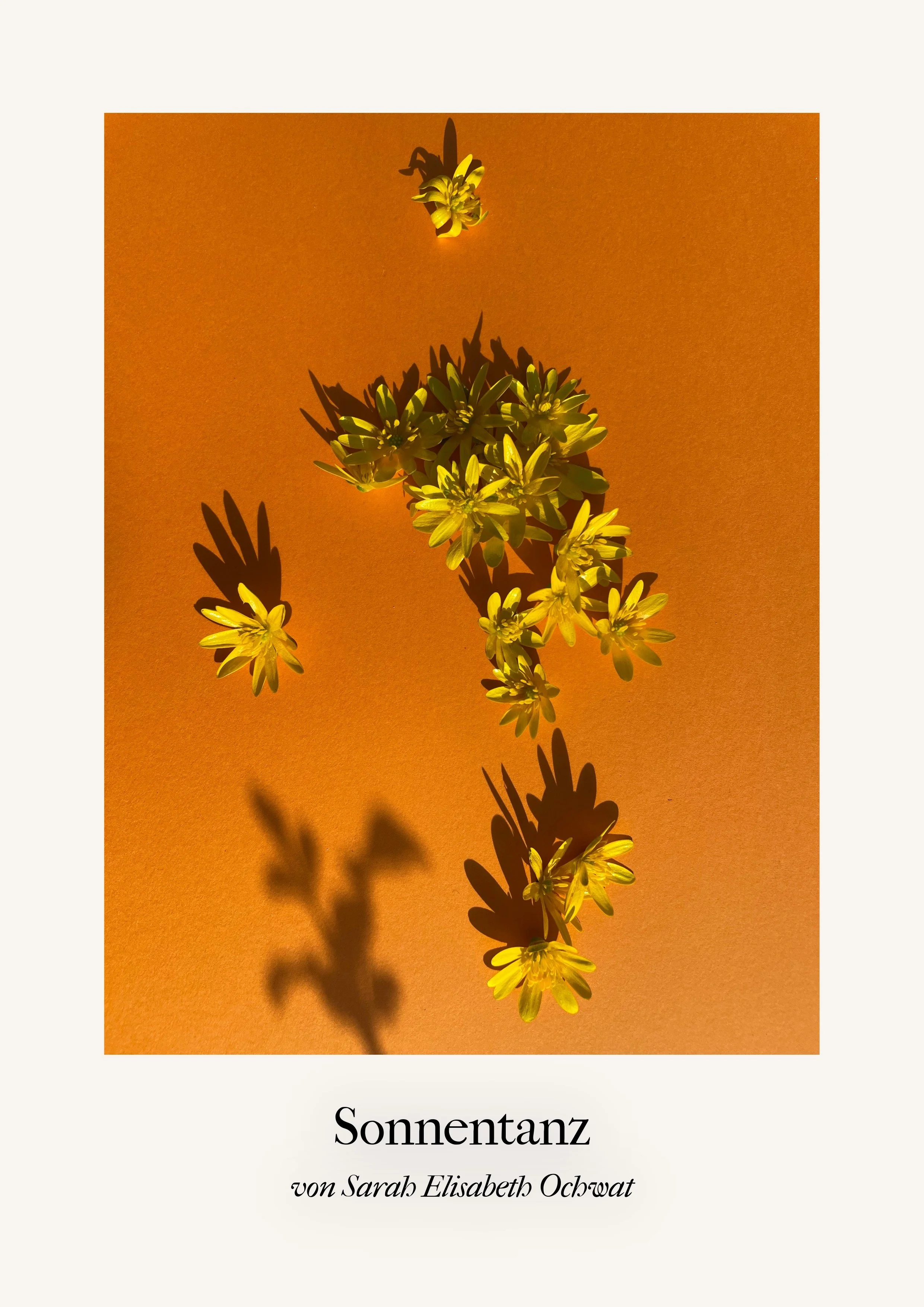 Sonnentanz Orakelbuch I-1.jpeg