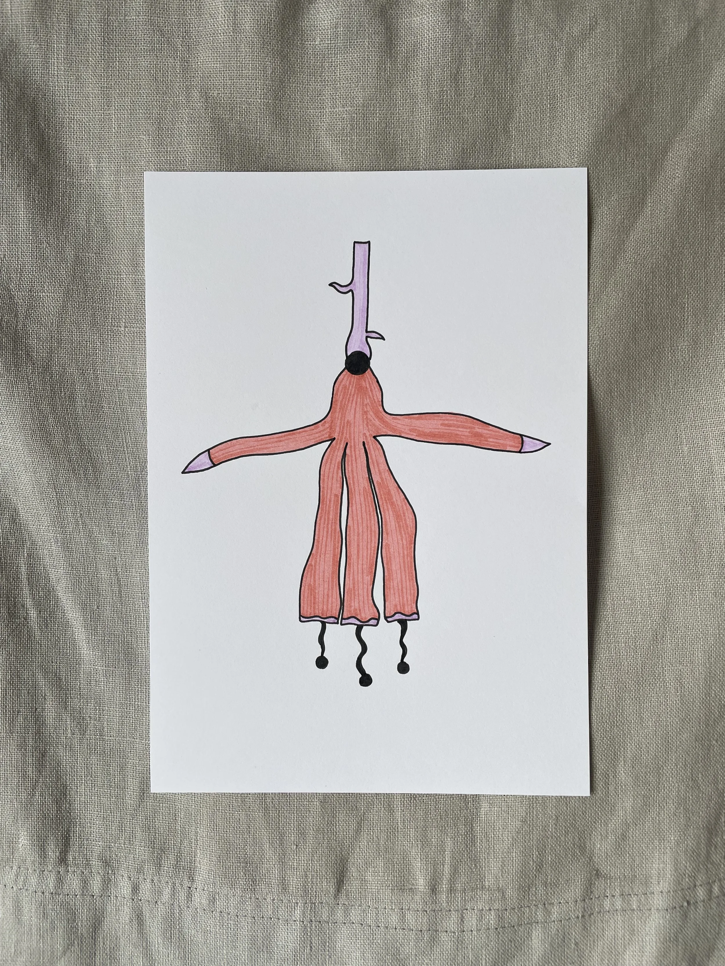 Blüte des Kontrasts