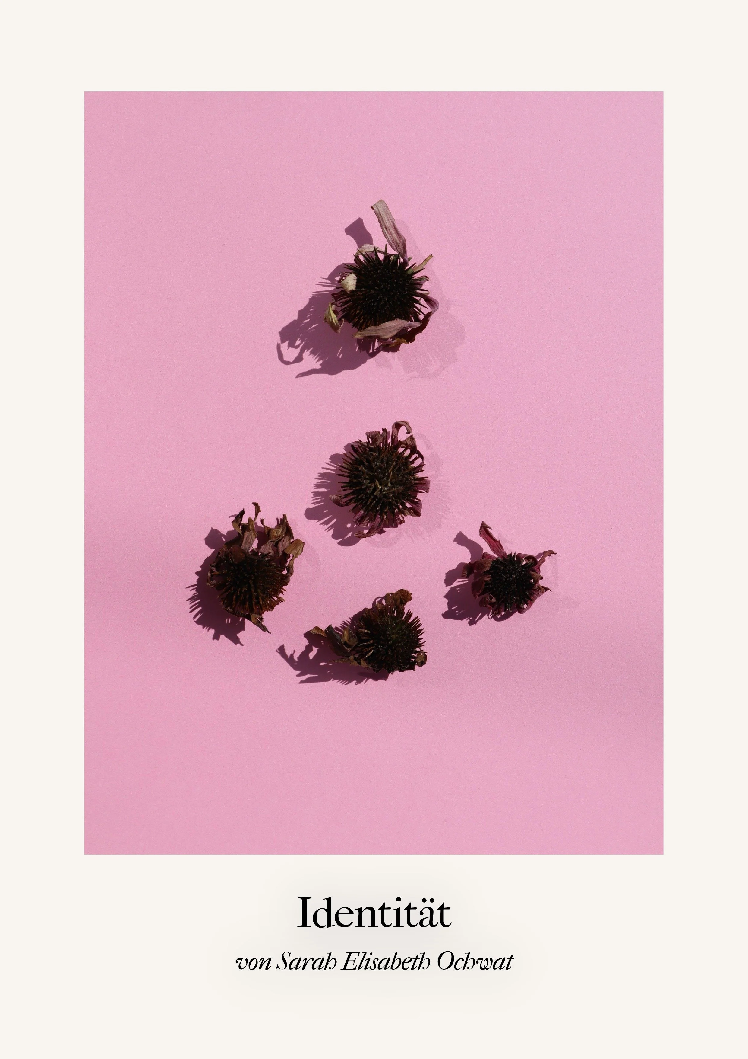 Identität Orakelbuch II-1.jpeg