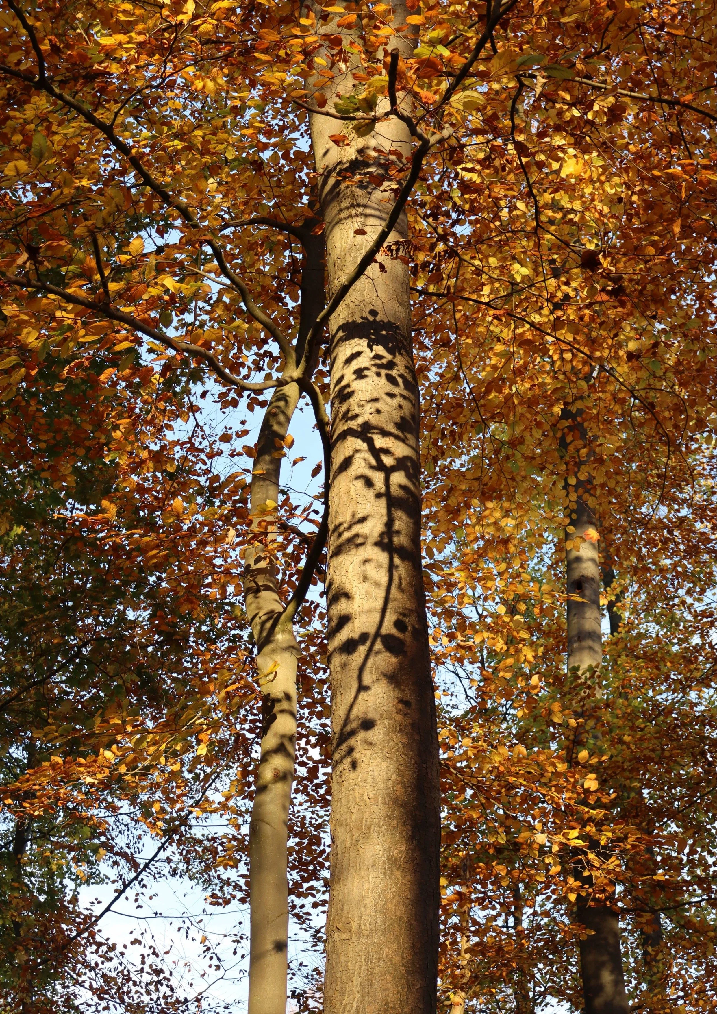 The Art Of Love-22.jpeg