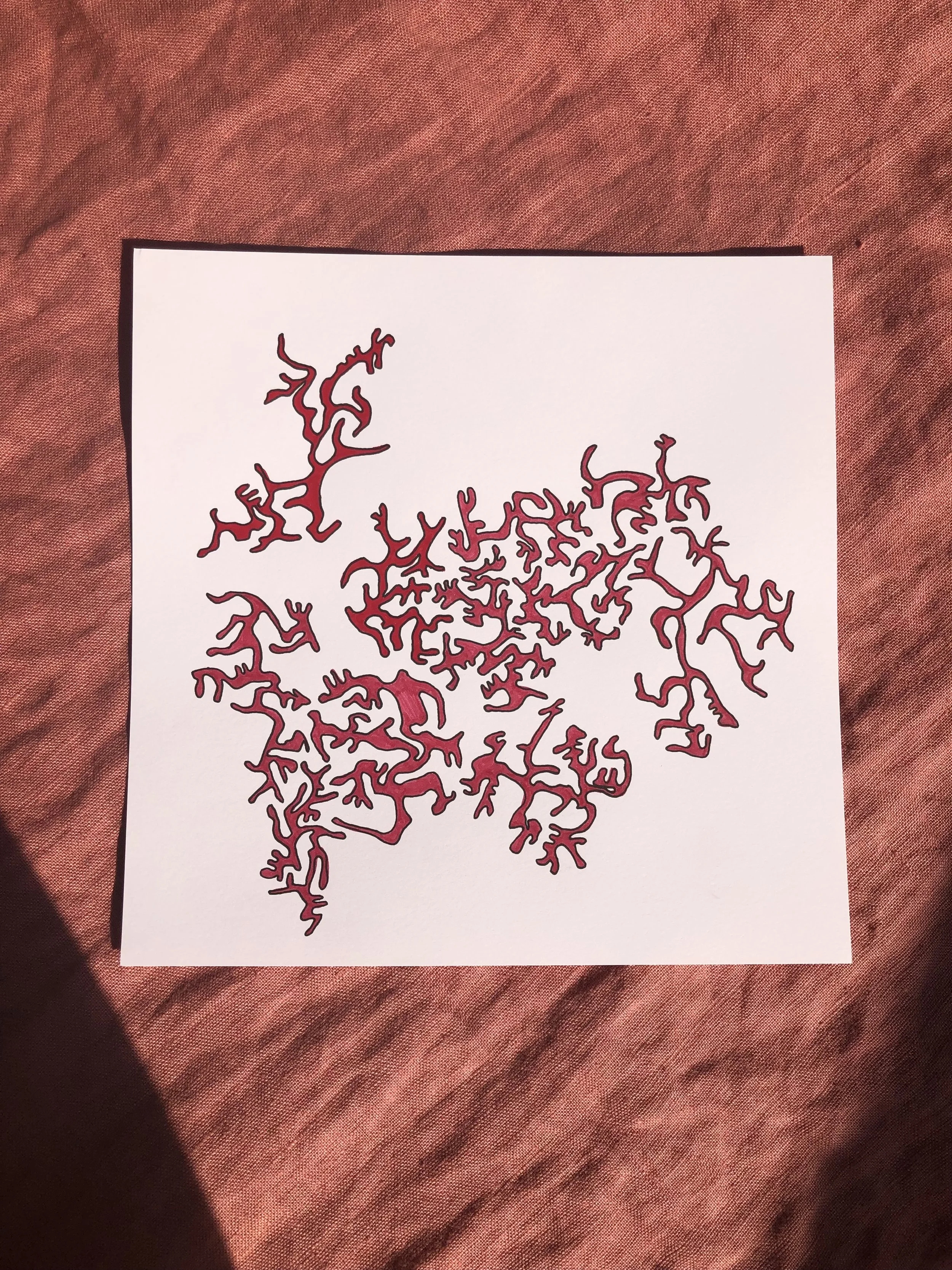 sarah-shop-enigma-4.jpeg