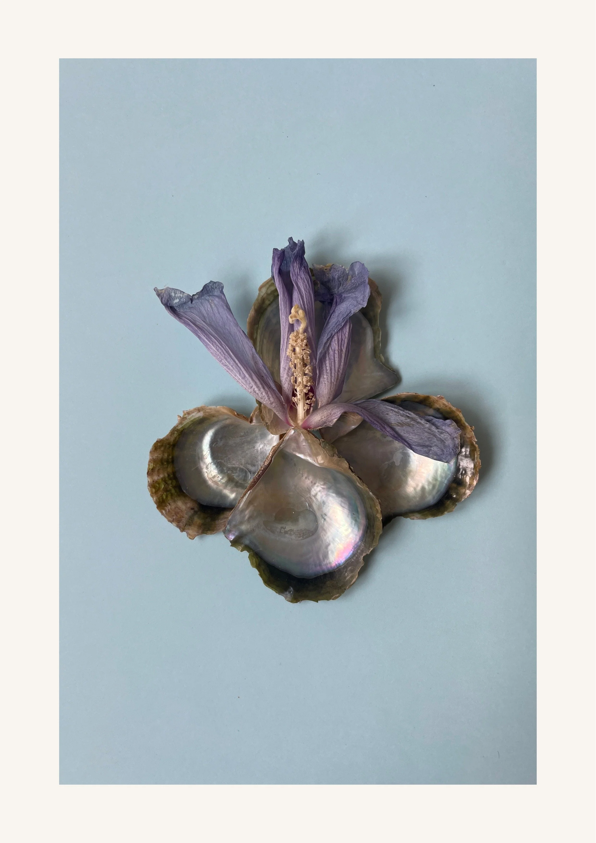 Das kosmische Rad-91.jpeg