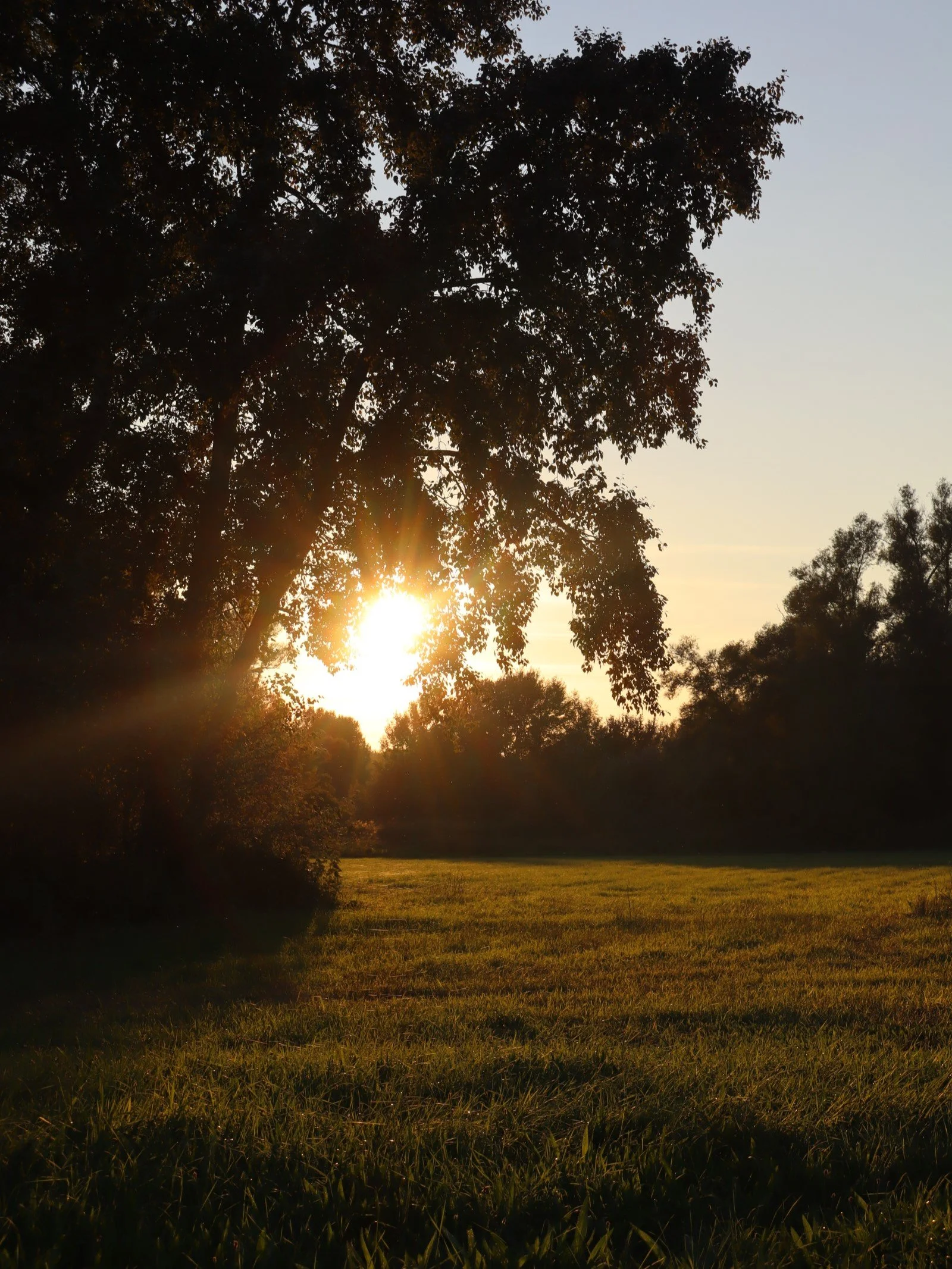 Ewiges Licht