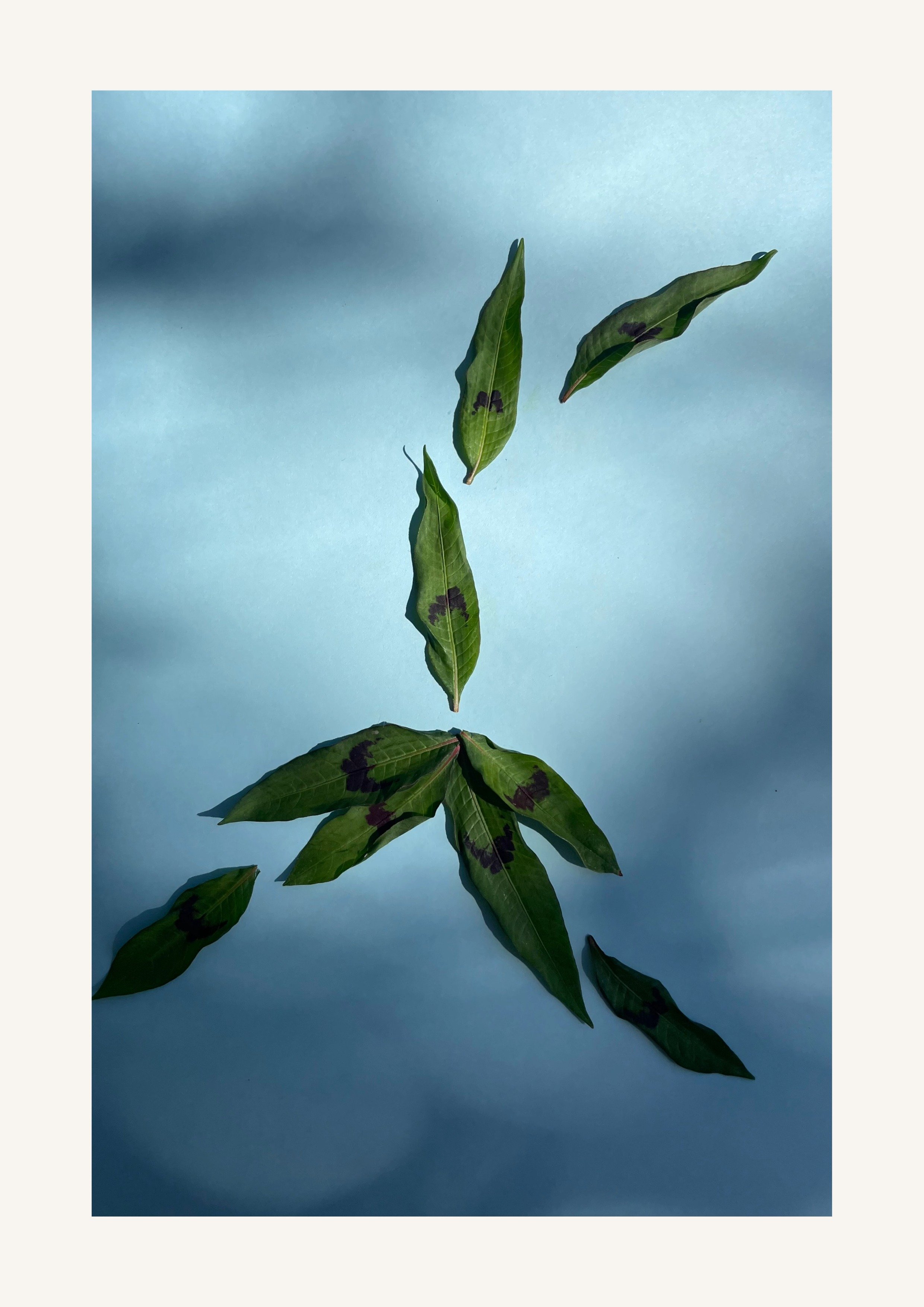 Identität Orakelbuch II-66.jpeg