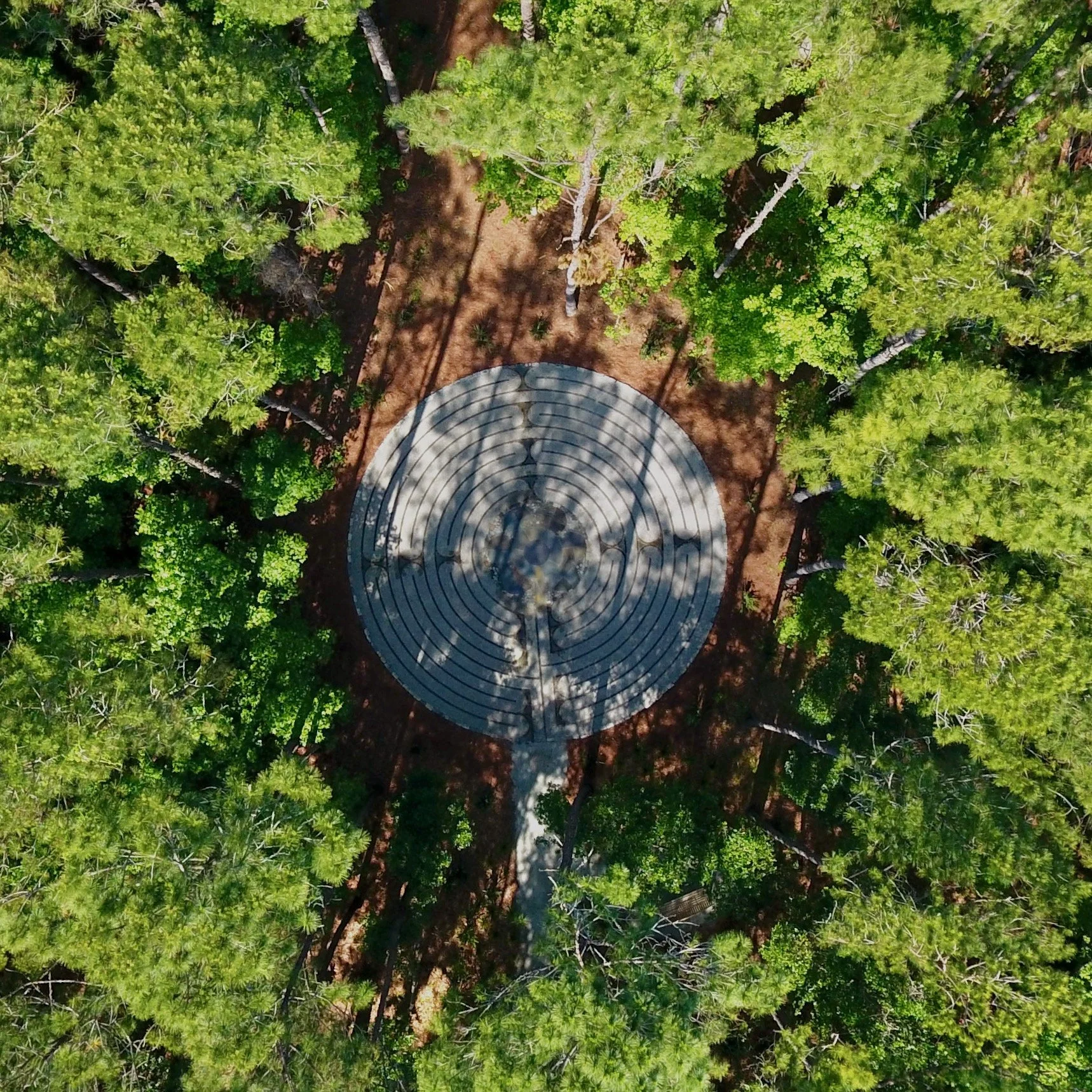 Aerial View of medieval labyrinth in a pine forest