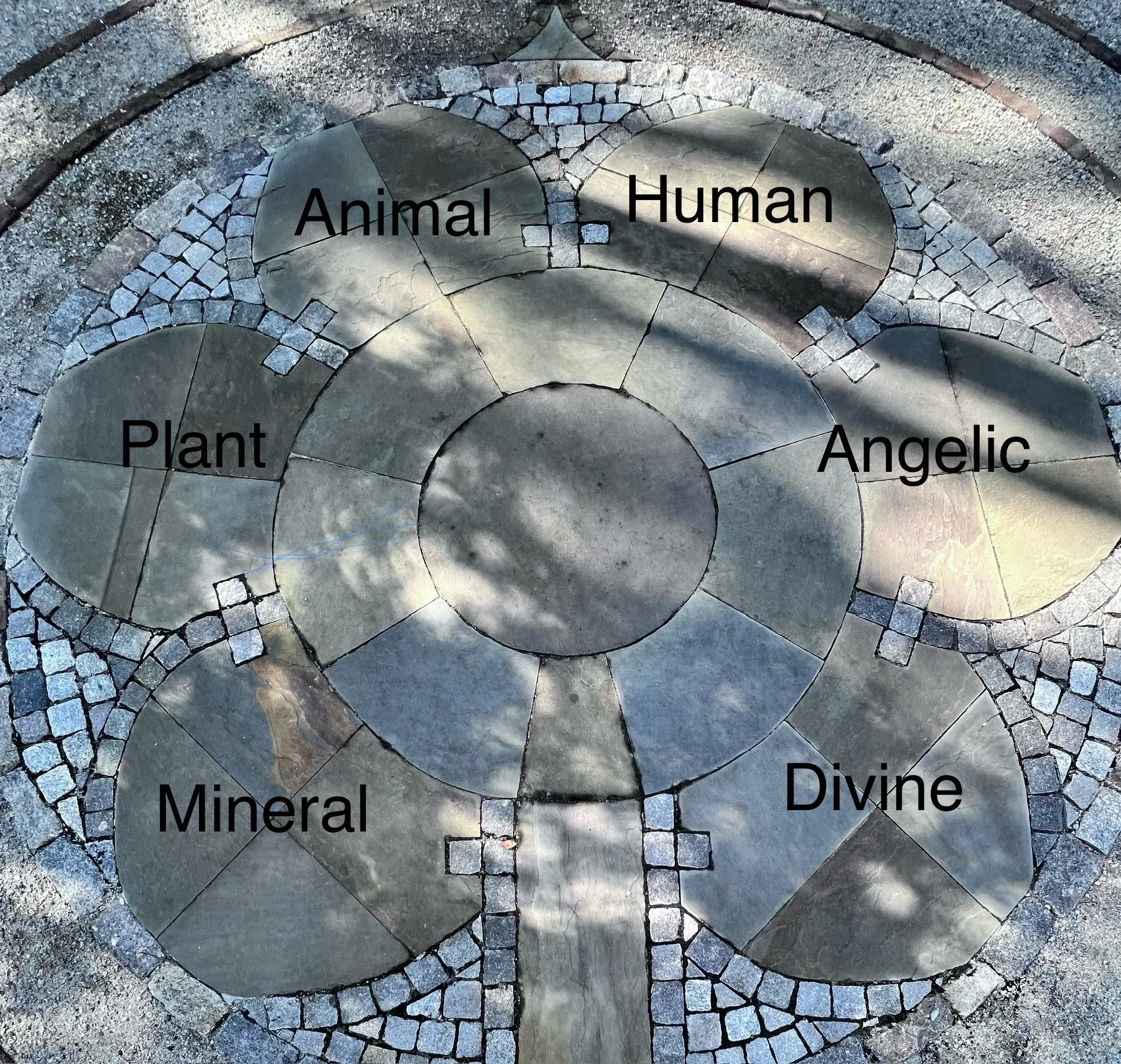 A New Reflection on the Rose - A Centering Meditation from Richard Rohr