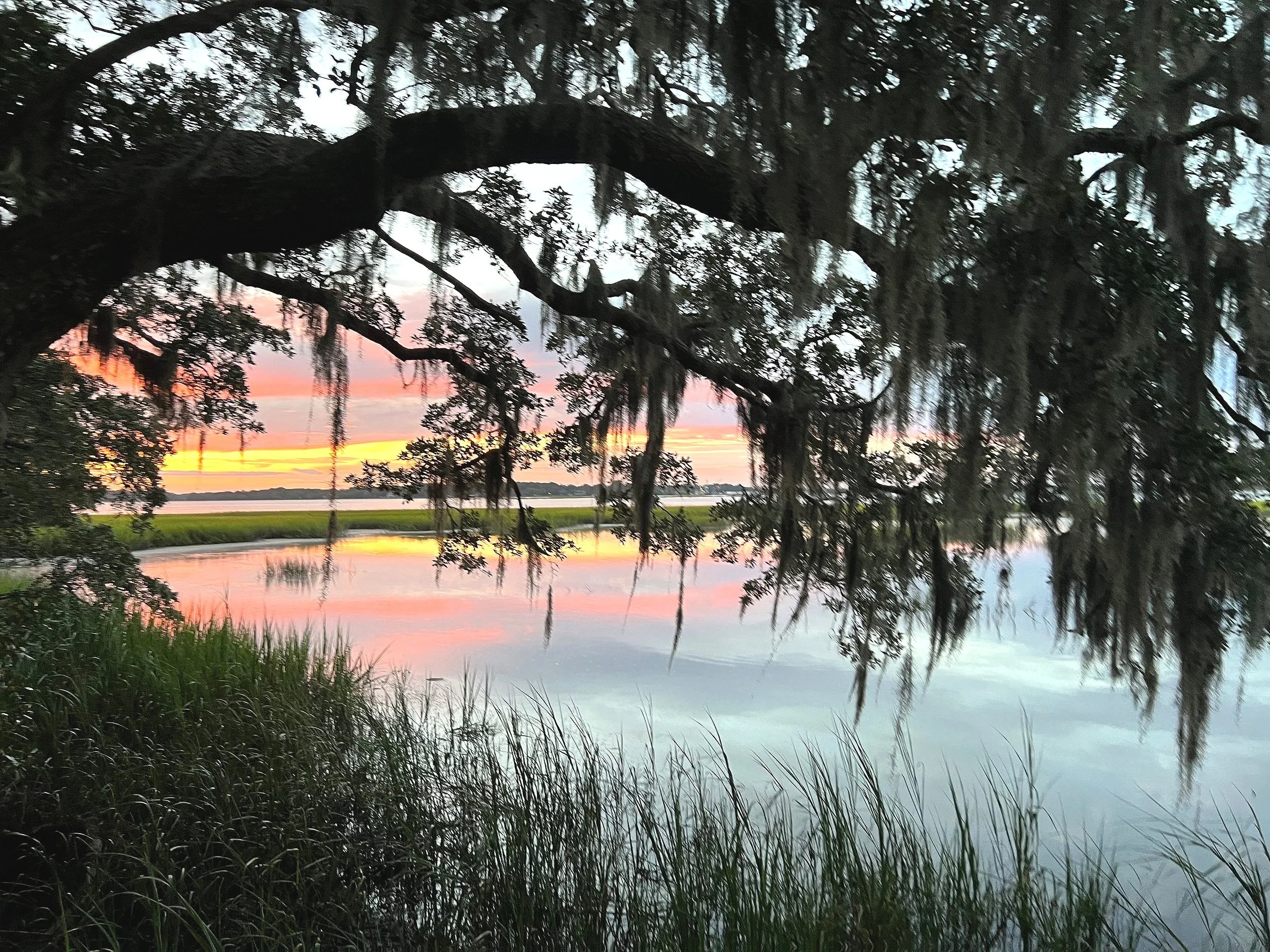 Wadmalaw Island Sunset with Live Oak tree at Fourbear