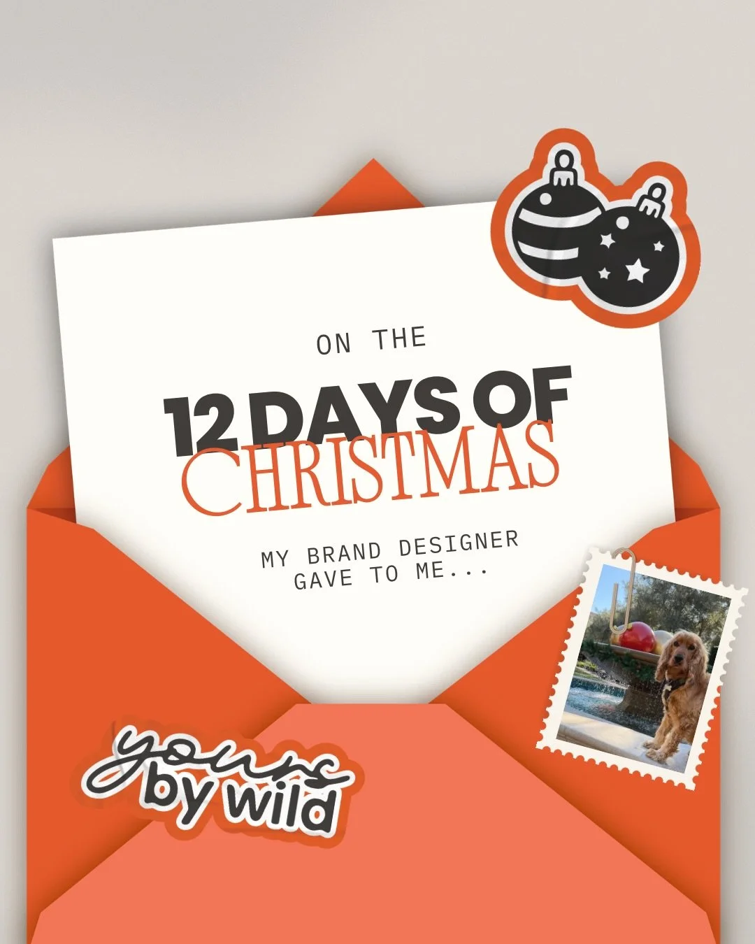 On the 12 days of Christmas, my brand designer gave to me&hellip;
✨ less stress
✨ more clarity
✨ and a business that finally feels put together

Most small business owners don&rsquo;t struggle because they&rsquo;re bad at branding. They struggle beca