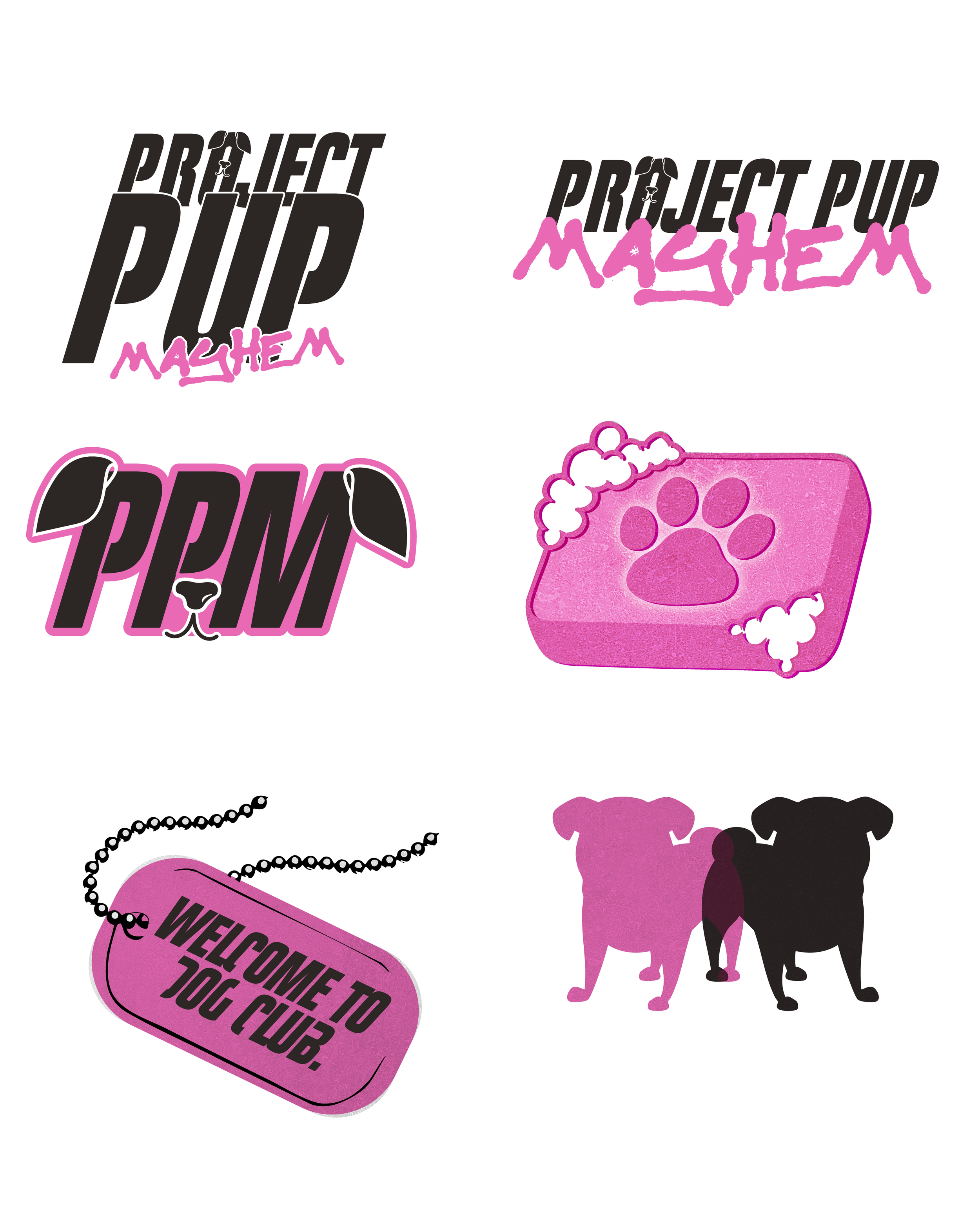 PPM-02.png