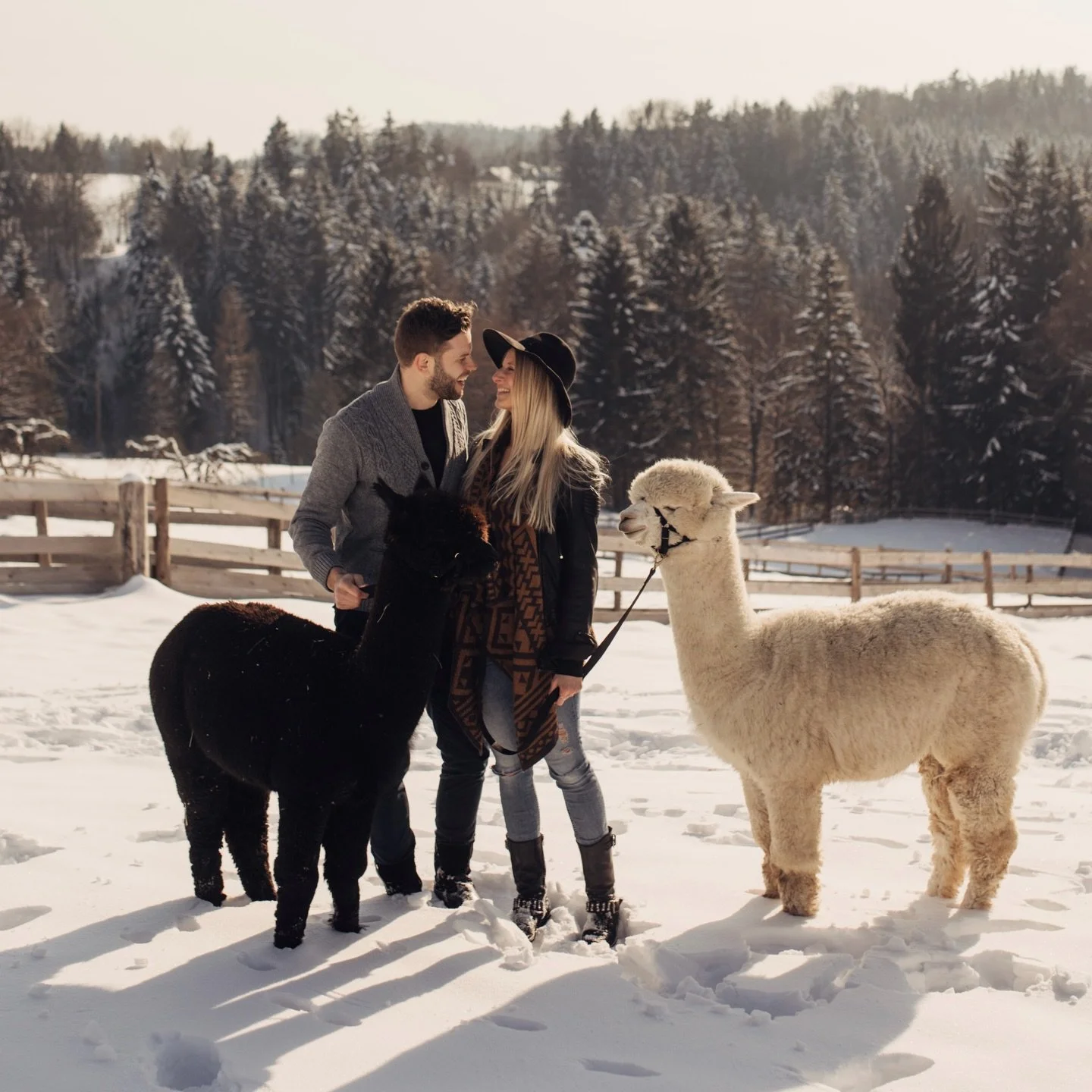 Throwback an Wintermomente, die sich wie Weihnachten anf&uuml;hlen ❄️ 🦙 💫 

Knirschender Schnee, kalte Luft, flauschige Gesellschaft,  warme Herzen und diese besondere Ruhe, die bleibt.

Heute, am 4. Adventssonntag, erinnern wir uns genau daran:
we