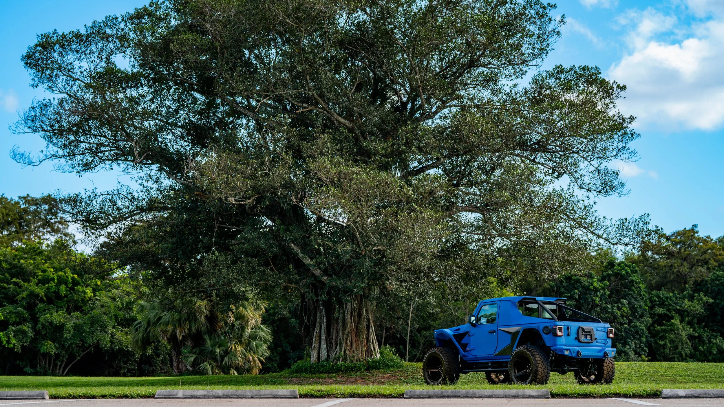 Blue Speedster Tradewinds-02589.jpg