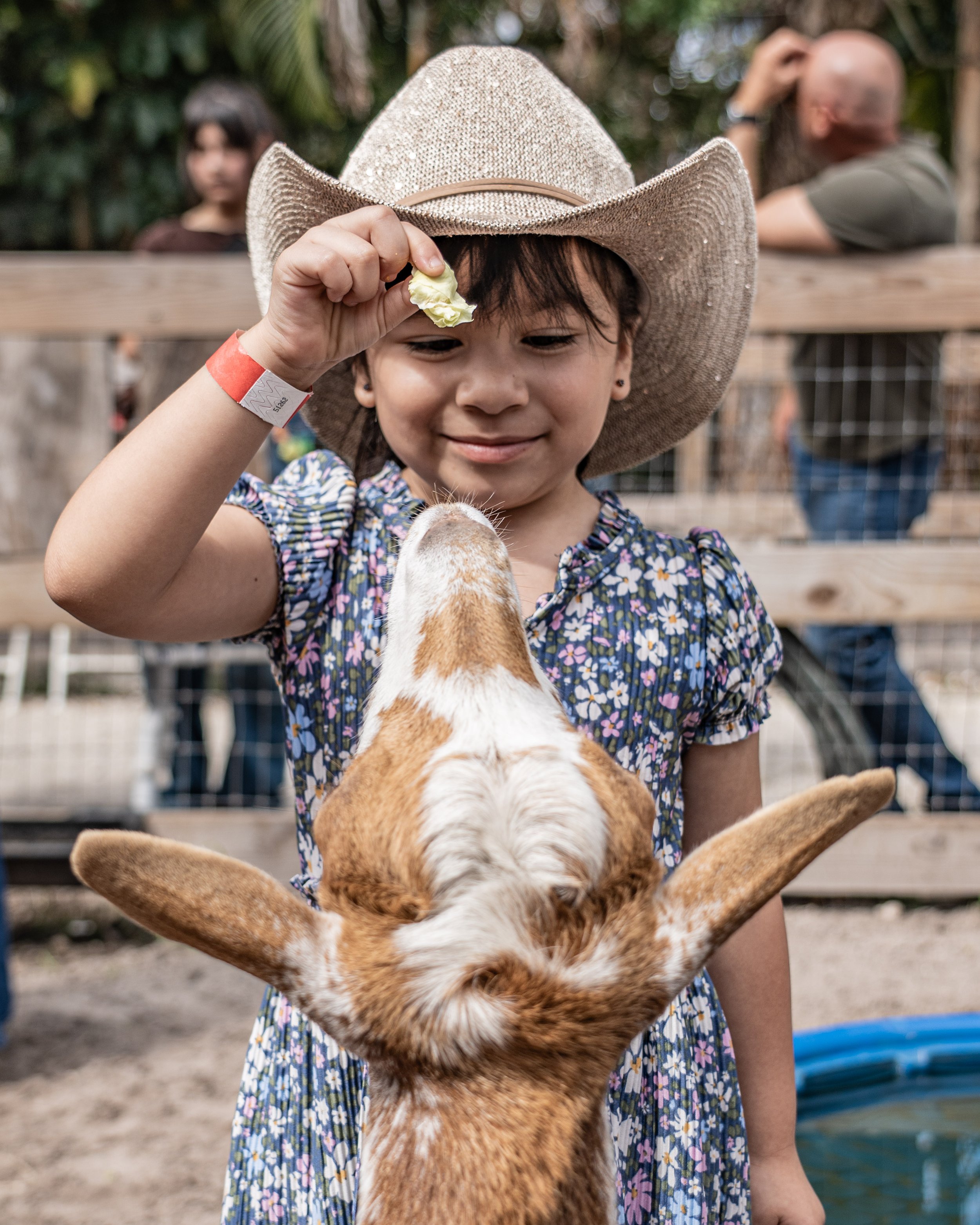 Asher Birthday Redstone Ranch-00224 - Copy.jpg