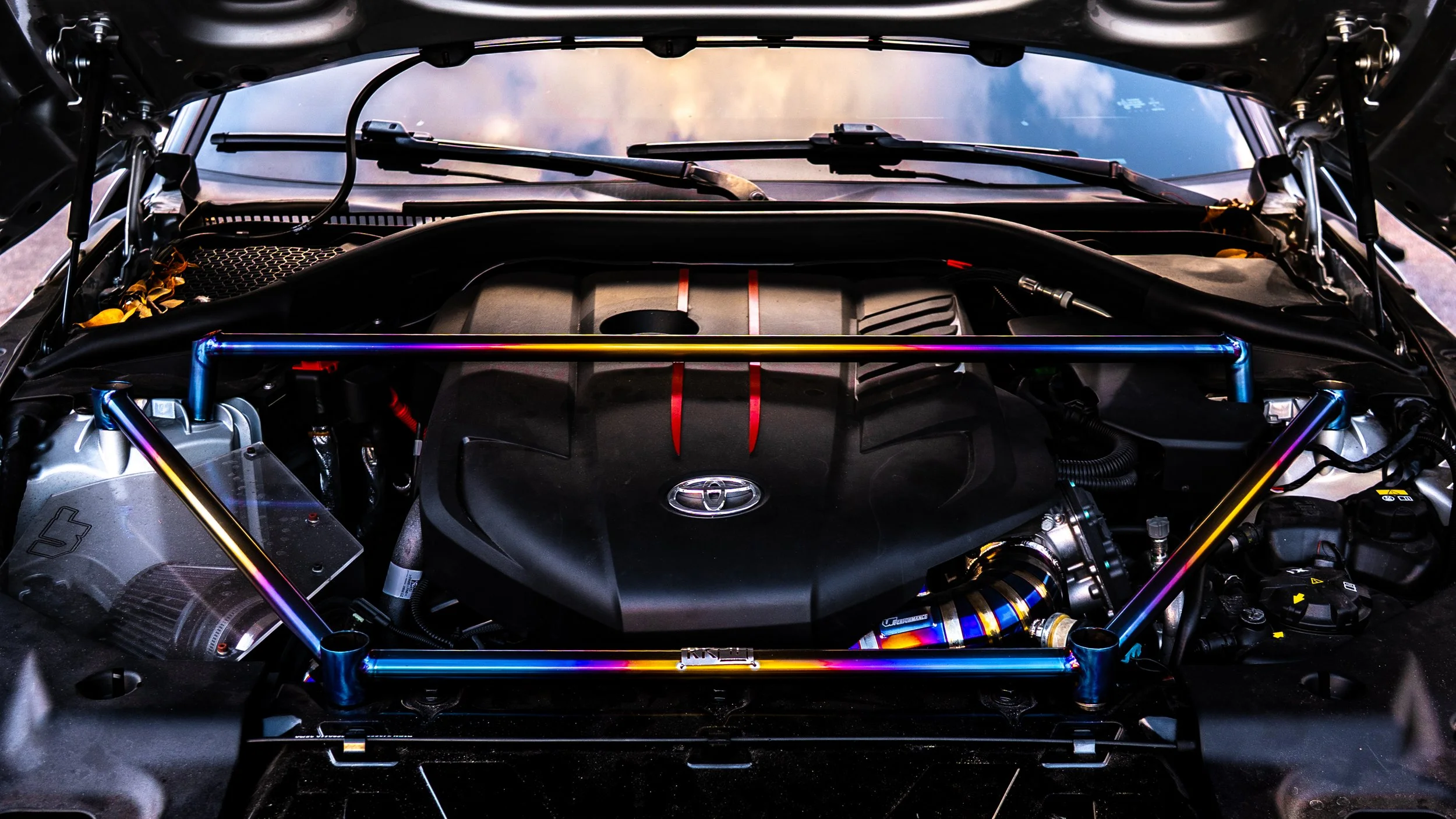 Dylan Supra-08925.jpg