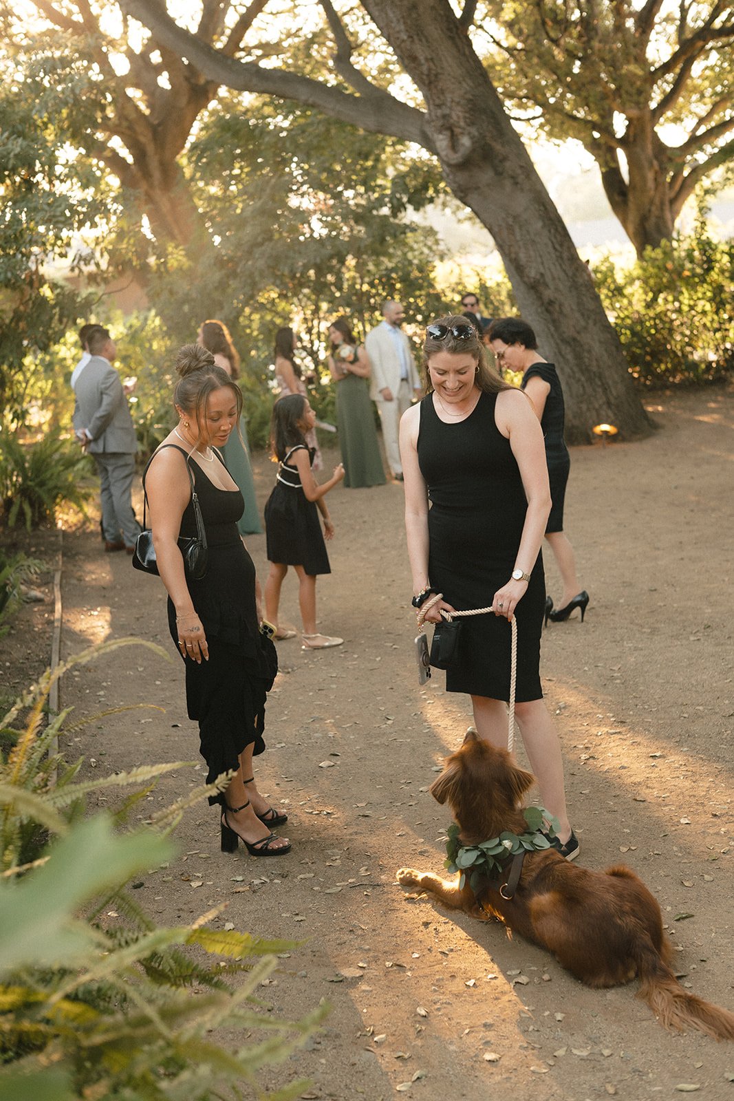 Women and children at an outdoor gathering, some dressed in formal attire, with a woman in a black dress holding a dog adorned with a leafy collar in a park setting with large trees and sunlight filtering through