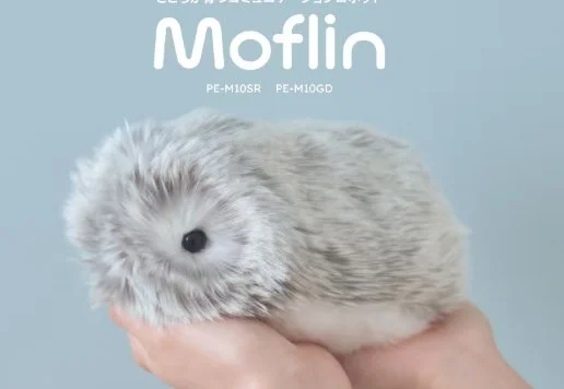 Why Companies Should Invest in AI Desk Companions 