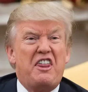 When Power Plays the Victim: DARVO, Trump, and the Politics of Reversed Harm