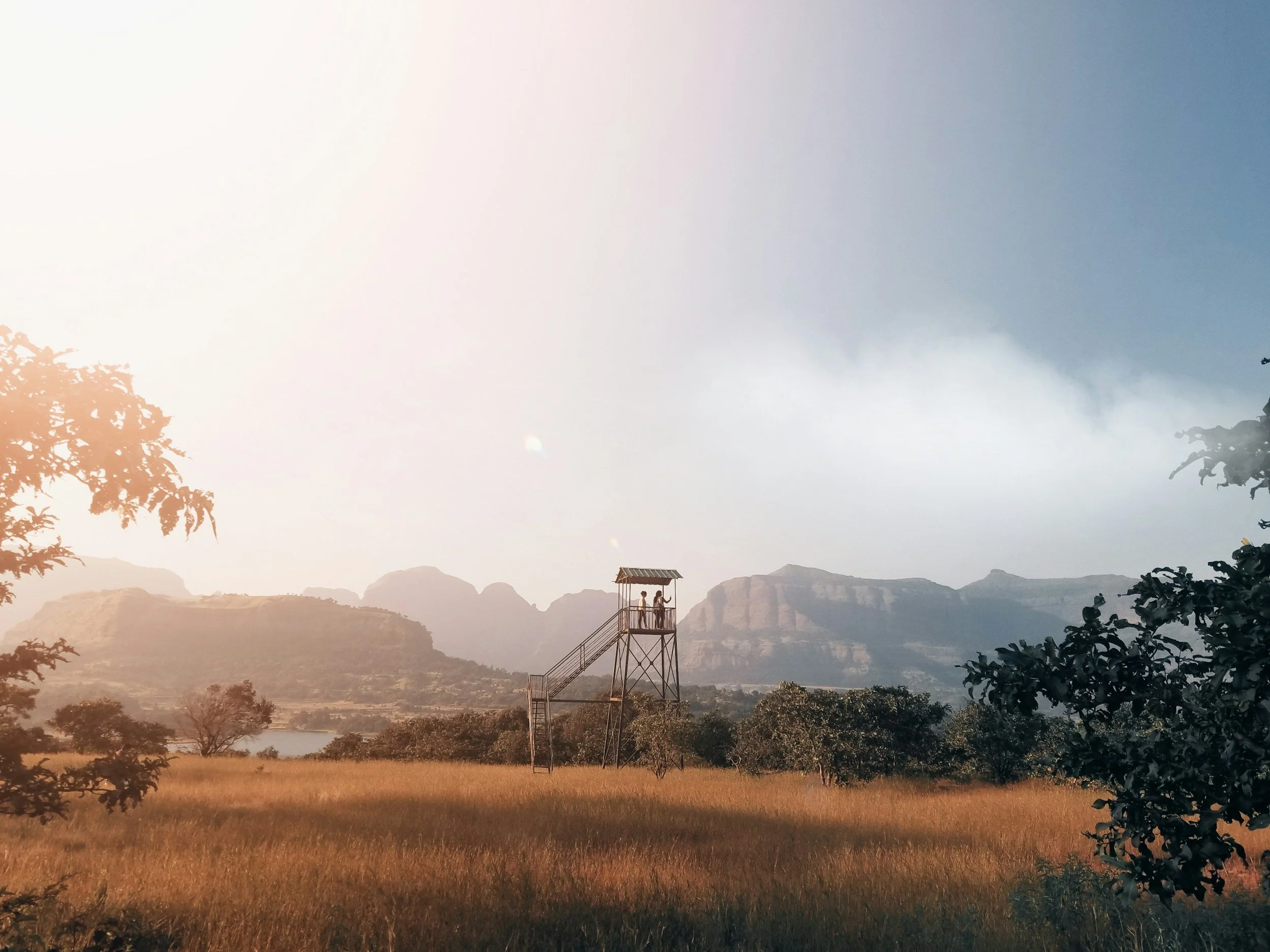 When Freedom Starts Feeling Like Paperwork: Decision Fatigue and the Ubisoft Problem