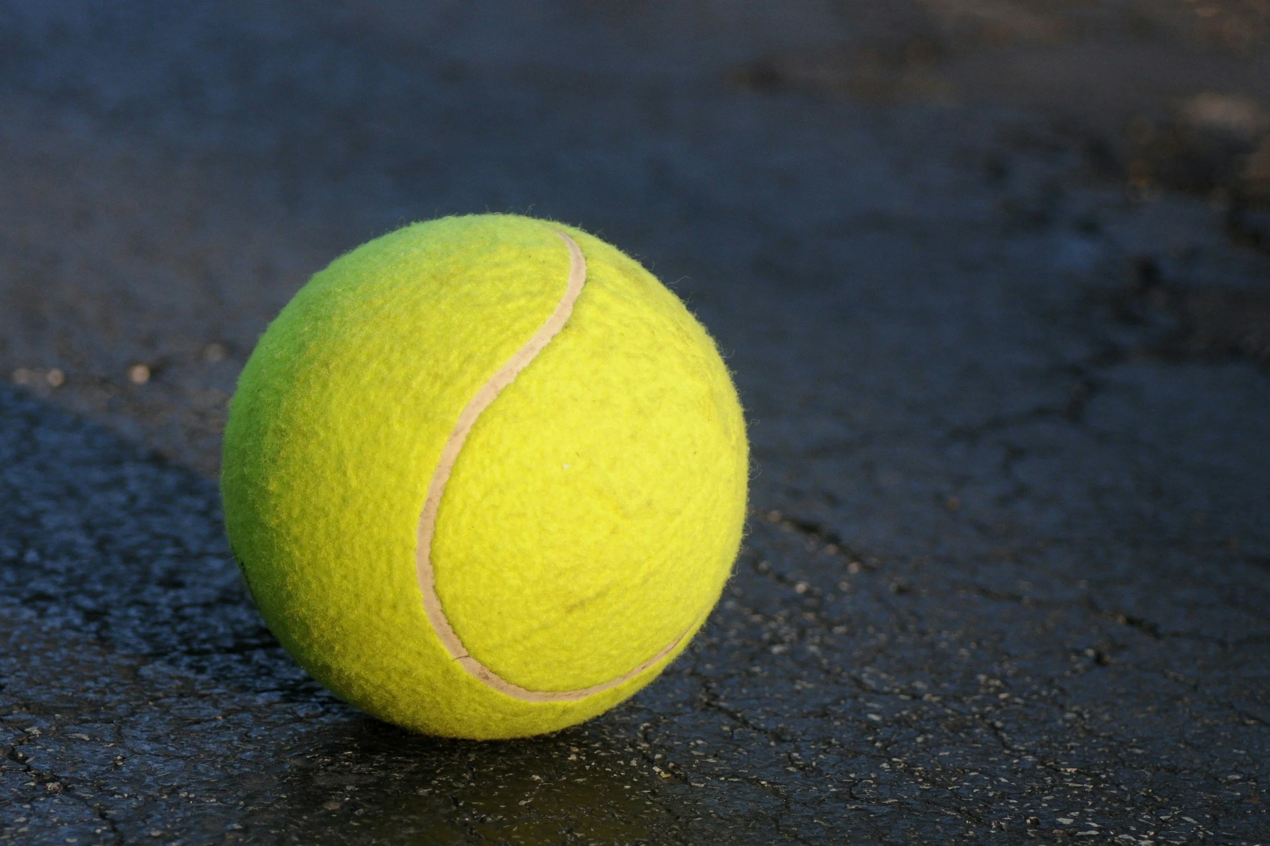 The Dog and the Infinitely Complex Ball: A Musing on AI Consciousness