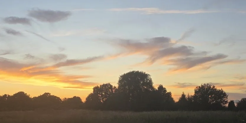 Willies in the Wind: Pareidolia, Projection, and the Meaning We Make