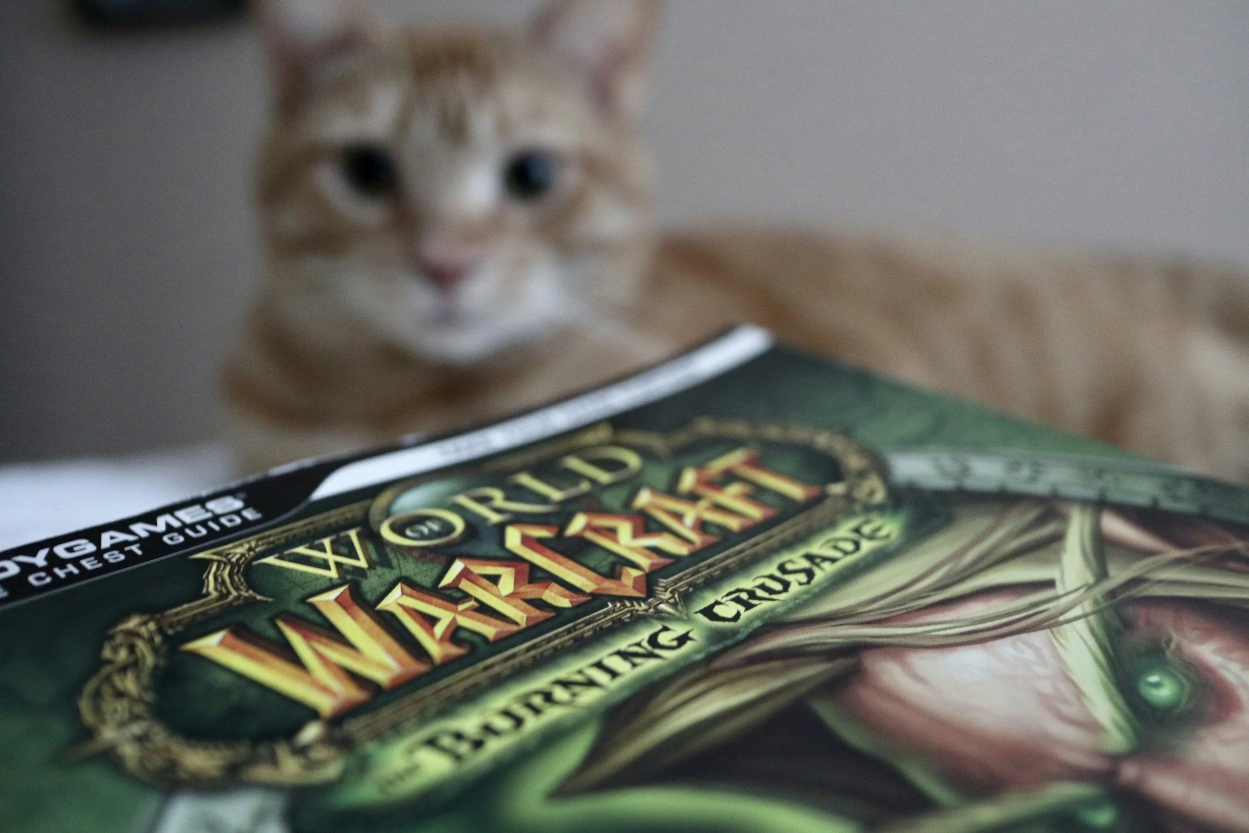 What to Spend Your Gold on First in World of Warcraft