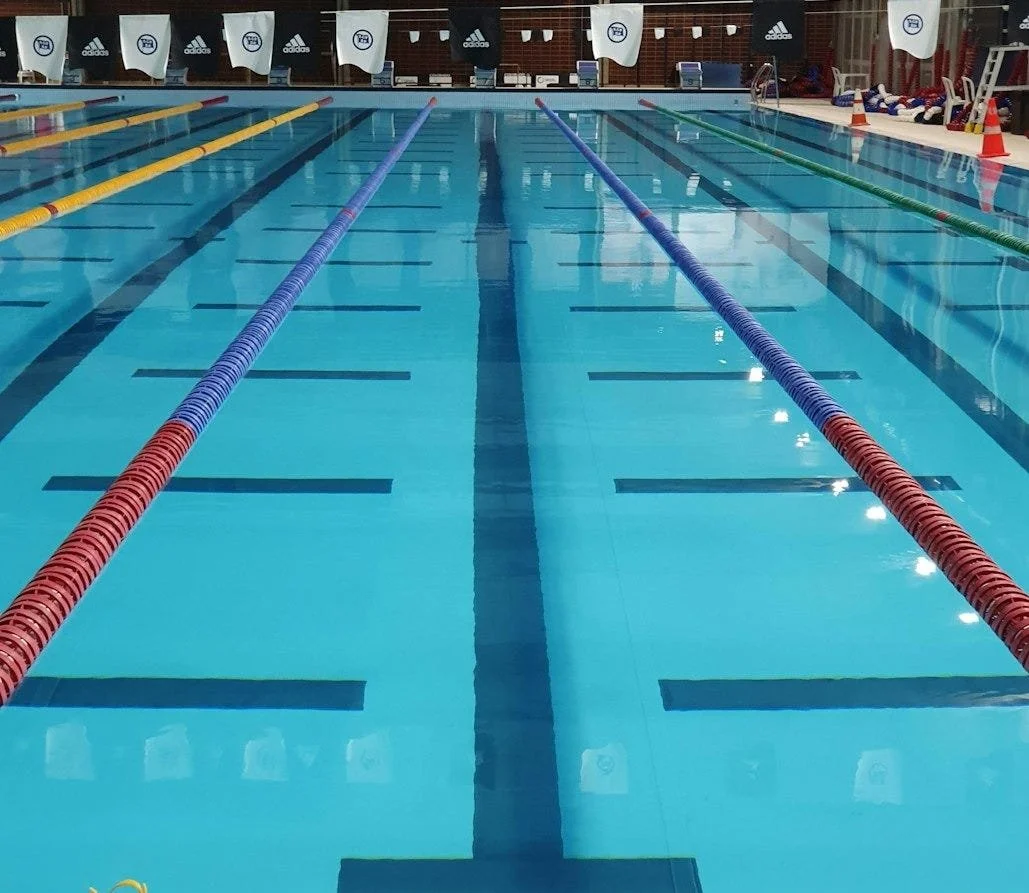 Swimming Lessons (or How to Keep Your Head Above Water)