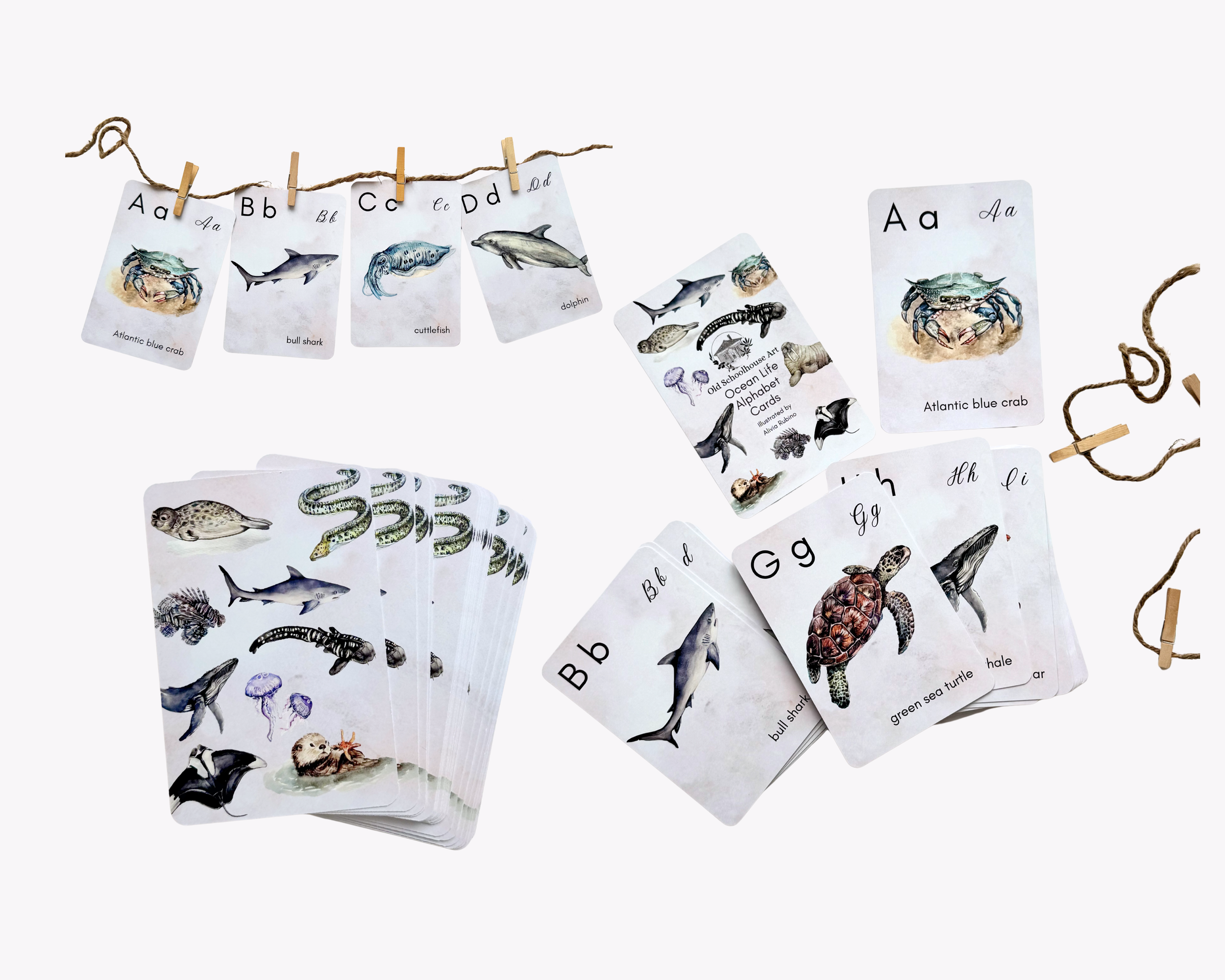 Ocean Life Alphabet Cards OSA.png