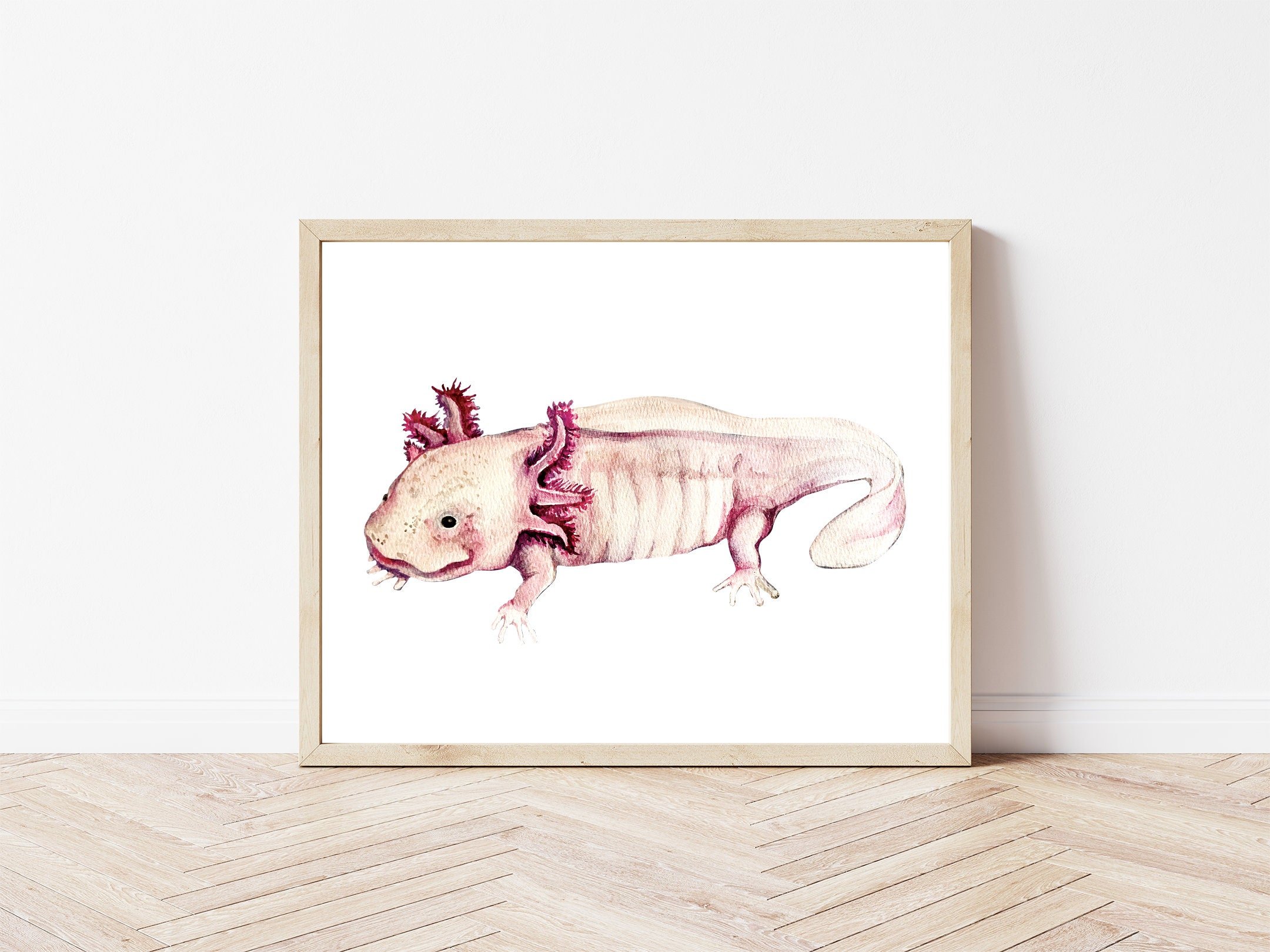 https://i.etsystatic.com/9636411/r/il/f88211/6059643097/il_fullxfull.6059643097_ba2a.jpg