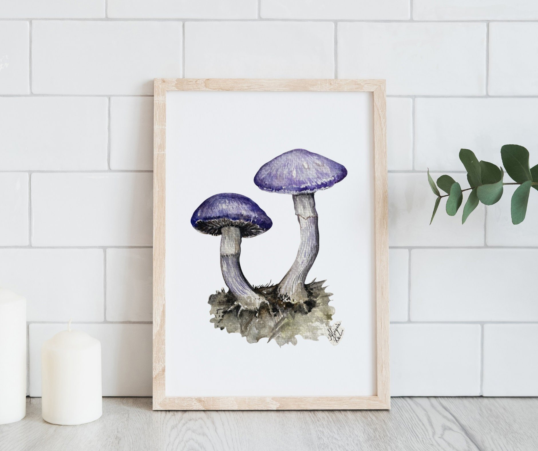 https://i.etsystatic.com/9636411/r/il/071949/5751836226/il_fullxfull.5751836226_9gj5.jpg