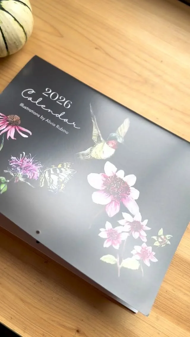 The new 2026 calendars came in! I LOVE the quality of these calendars - each page is silky smooth and printed using eco-friendly inks.
Every page features an illustration based off of my 2025 botanical watercolor paintings.
If you missed the pre-