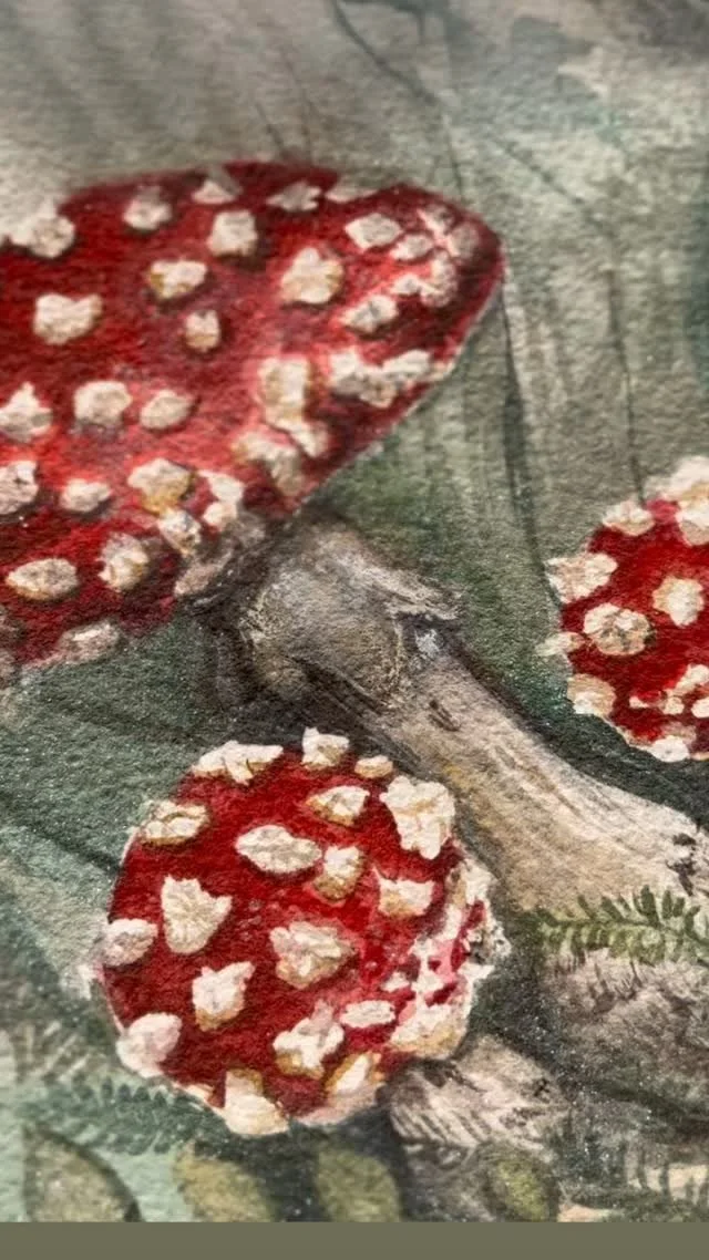 Painting more fly agaric mushrooms! This is a twin to the original beloved watercolor painting I did in 2023, but with some differences that might pop out.
Available this weekend at the Wild Mushroom Festival @dpnaturectr from 1-4! Purchase tickets o