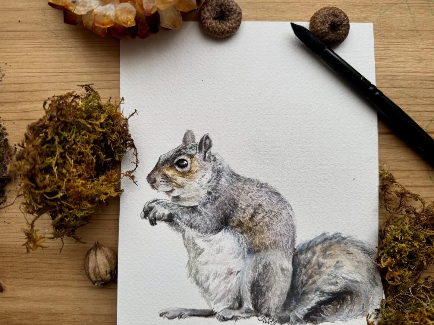 That one animal finding your bird feeder. #squirrel #oldschoolhouseart #woodlandanimals #watercolorsquirrel #wholesaleart