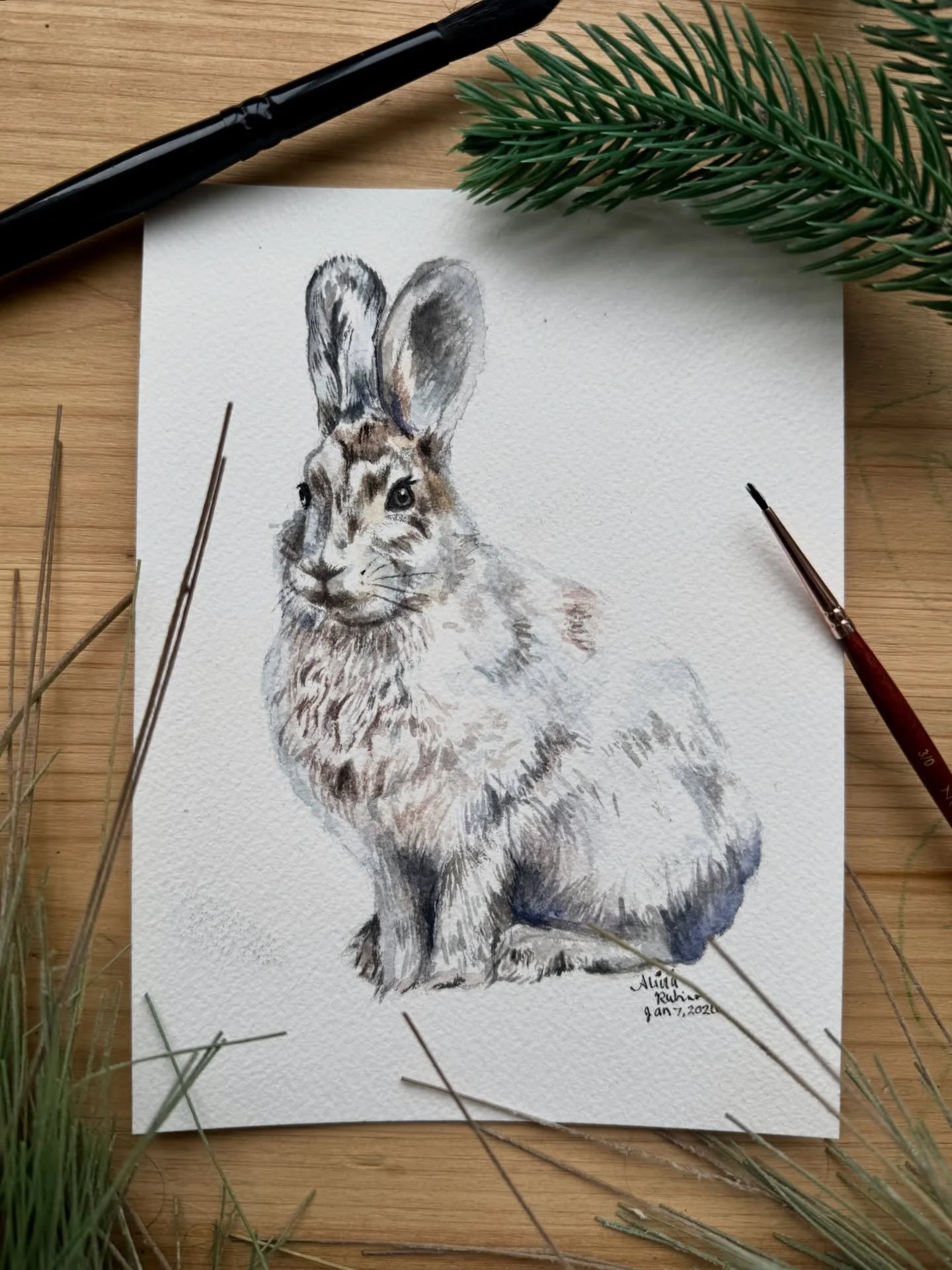 #hare #oldschoolhouseart #watercoloranimal #wildlifeart #woodland