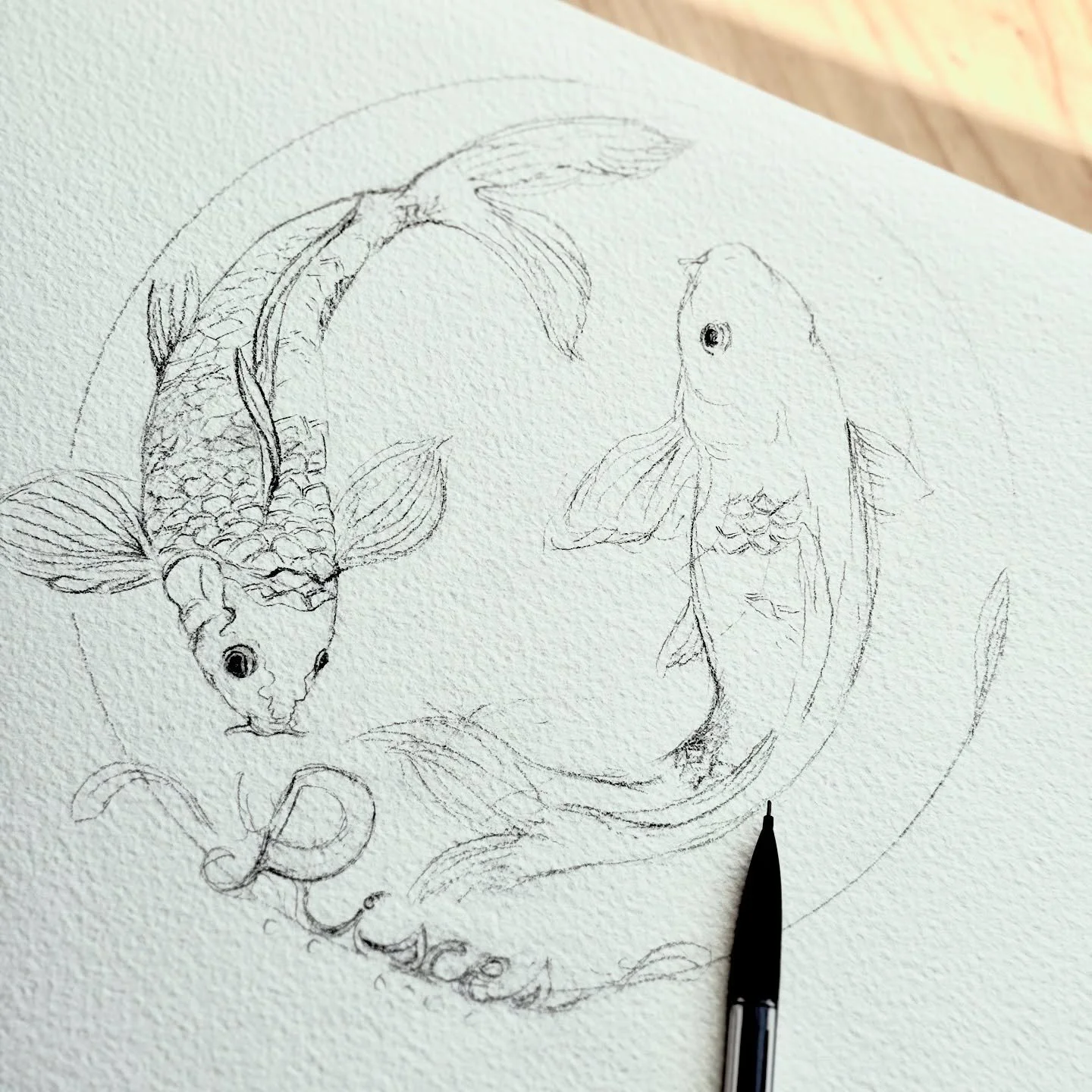 The baby sketch beginning a new collection- one that I&rsquo;ve wanted to make for the past 3 years. 

It may seem so simple, but each collection takes time. My method involves forming a general idea before researching each and every subject so I can