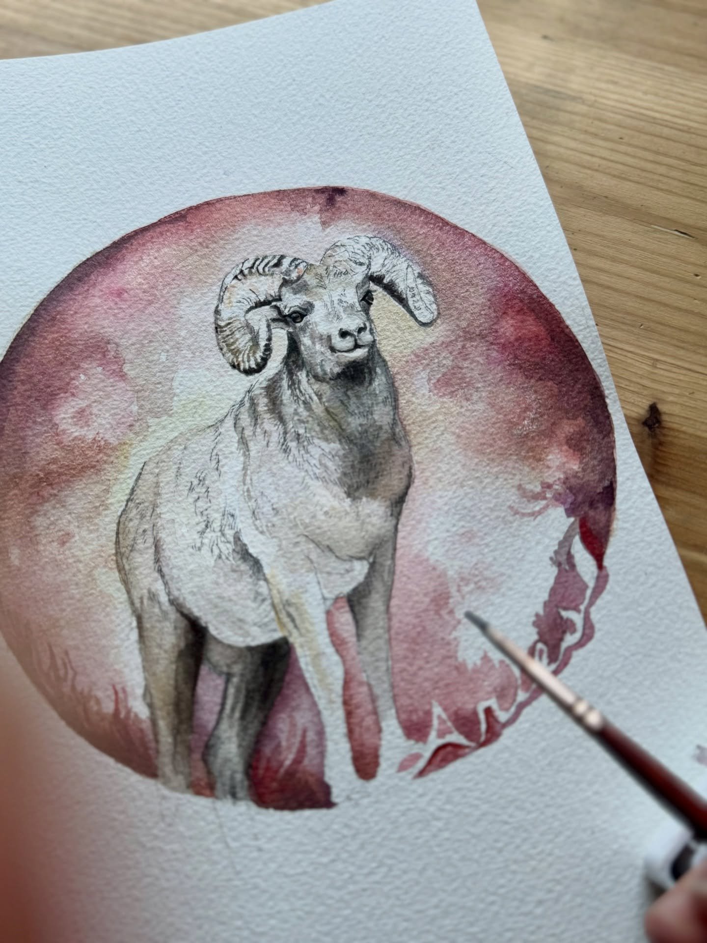 Aries in progress 🔥🐏♈️
#zodiacart #ariesart #celestial #oldschoolhouseart #arieswatercolor