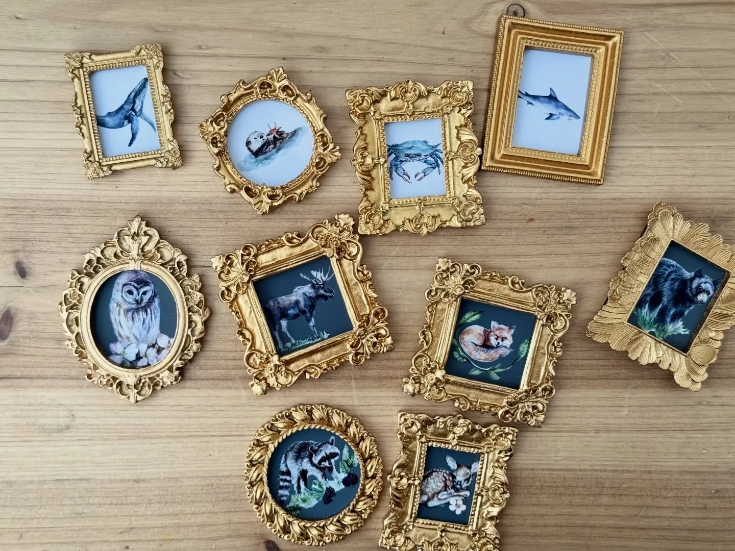 The gold framed magnets are being packed! One set from the Ocean Collection and two sets in the works from the Woodland Collection. Buyers, find these #goldframedmagnets @nemadeshows NEXT WEEKEND at Booth 305! 

Each magnet is made using my very own 