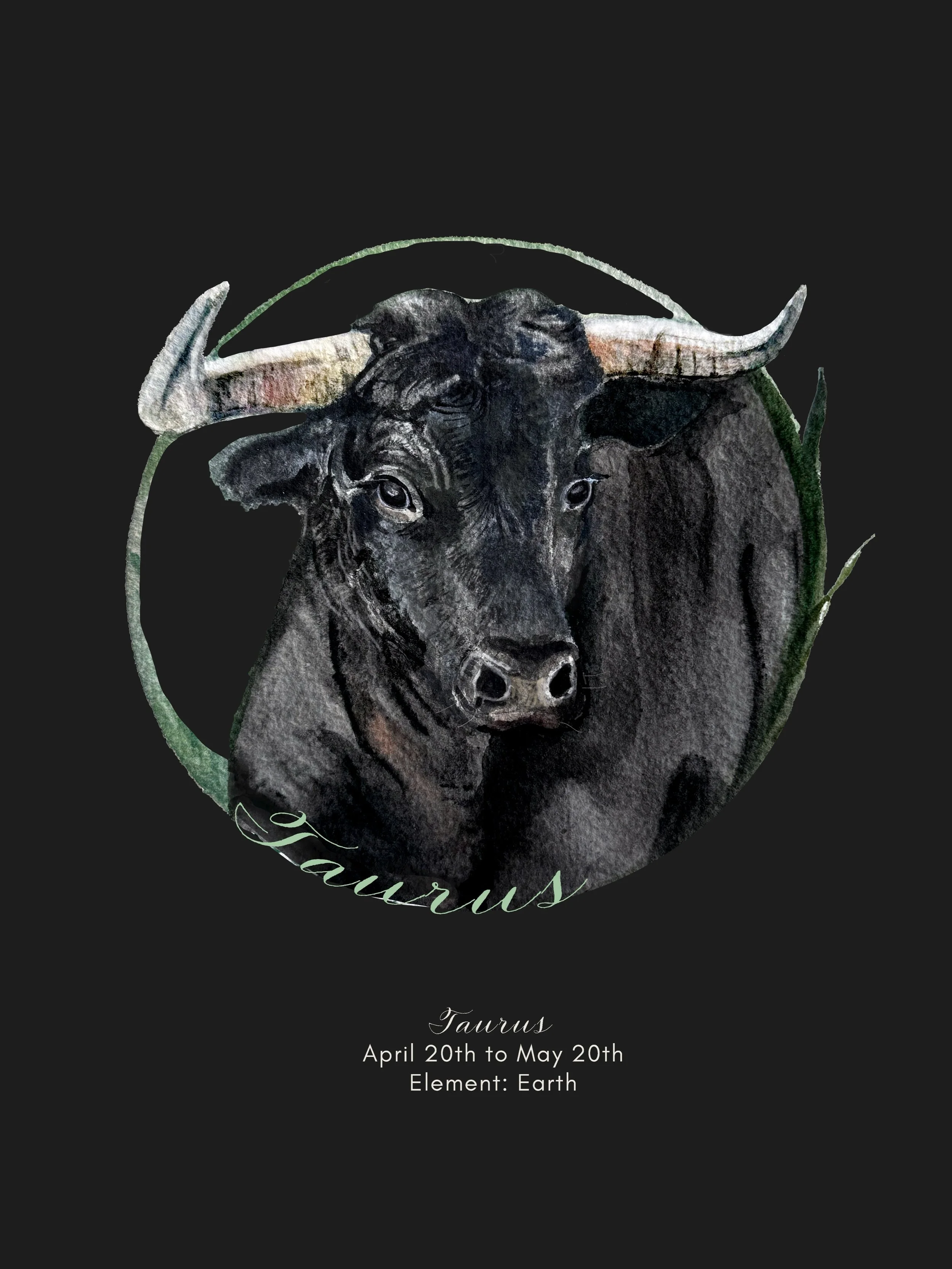 Evolution of painting Taurus. This one was harddd to paint, which suits the sign well. Hard to paint in the style I envisioned and hard to photograph the print accurately. I started off with a different bull, but it really seemed like a female with h