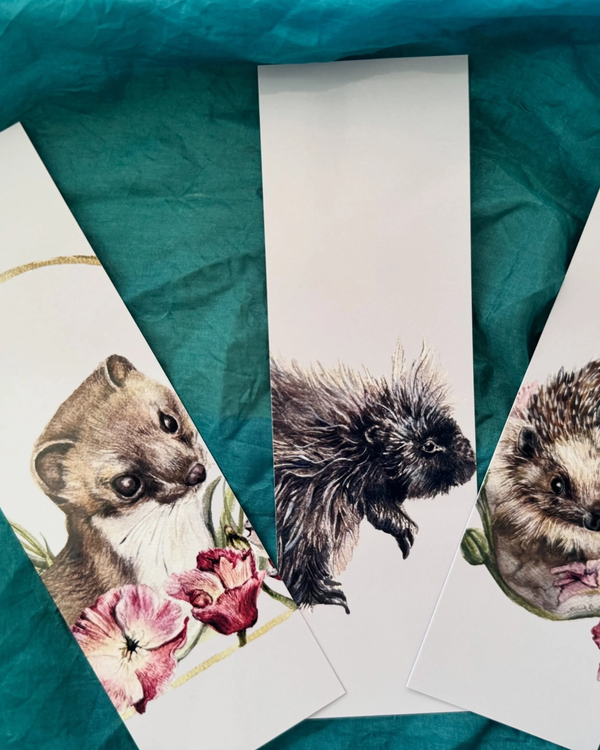 Bookmarks going to @middletownfirstfridays tonight from 5 - 8 PM and @themarket1115 next Saturday from 10 - 3 PM! #bookmarks #schoolhouse #stoat #porcupine #hedgehog
