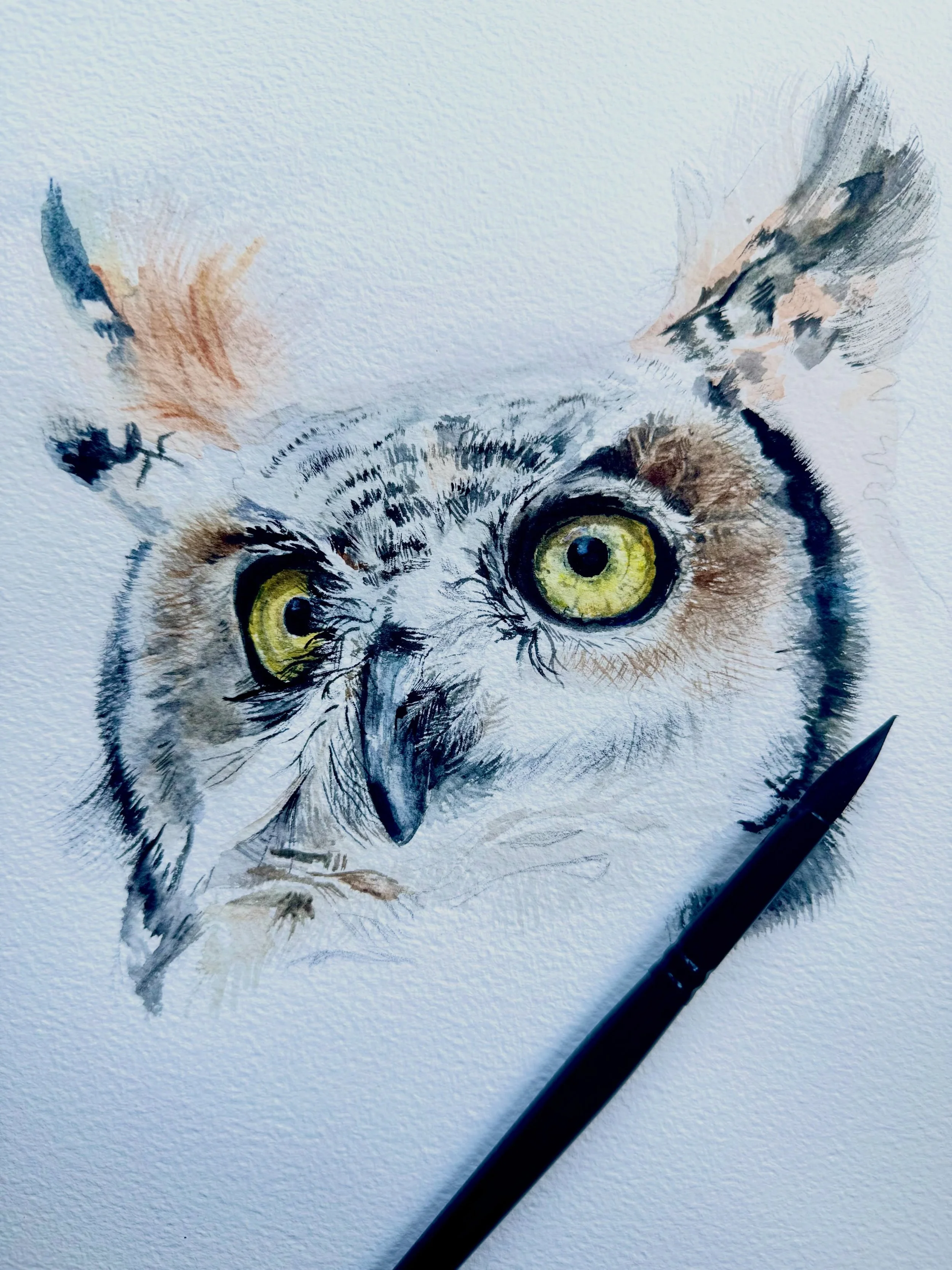 Owl in progress
#greathornedowl #owlart #halloweenowl #owloctober #octoberowl