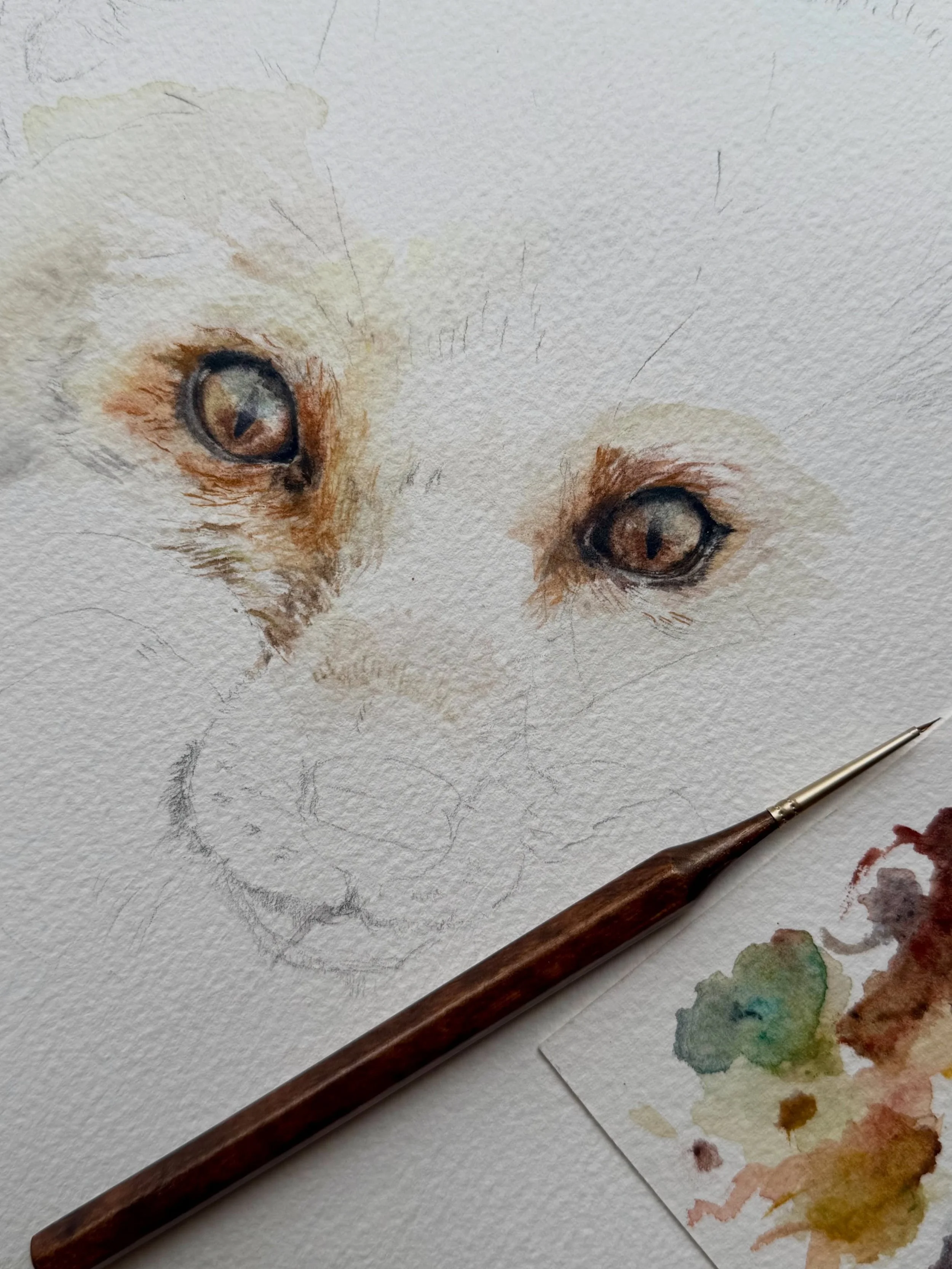 Fox progress.
Lovinggg this one. Should I start working larger? It&rsquo;s so much easier for me to capture the details.
#fox #foxart #foxeyes #oldschoolhouseart #aliviarubino