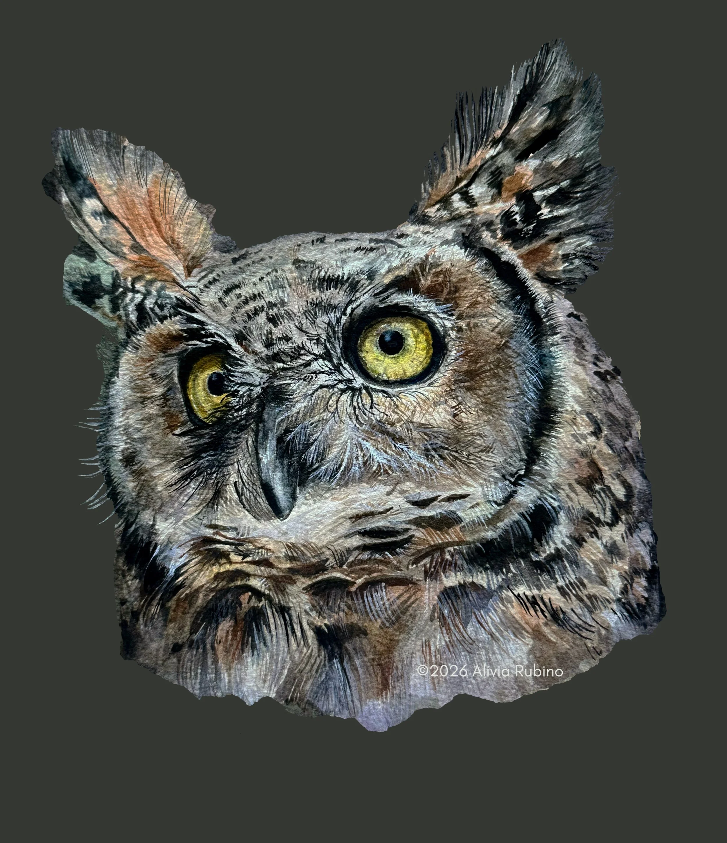 Needed to take a break from this one for a few days&hellip; but this Great Horned Owl is done. 

Now! Would you choose the green background, black, or original? #owl #greathornedowl #owlart #owloctober #Halloween owl