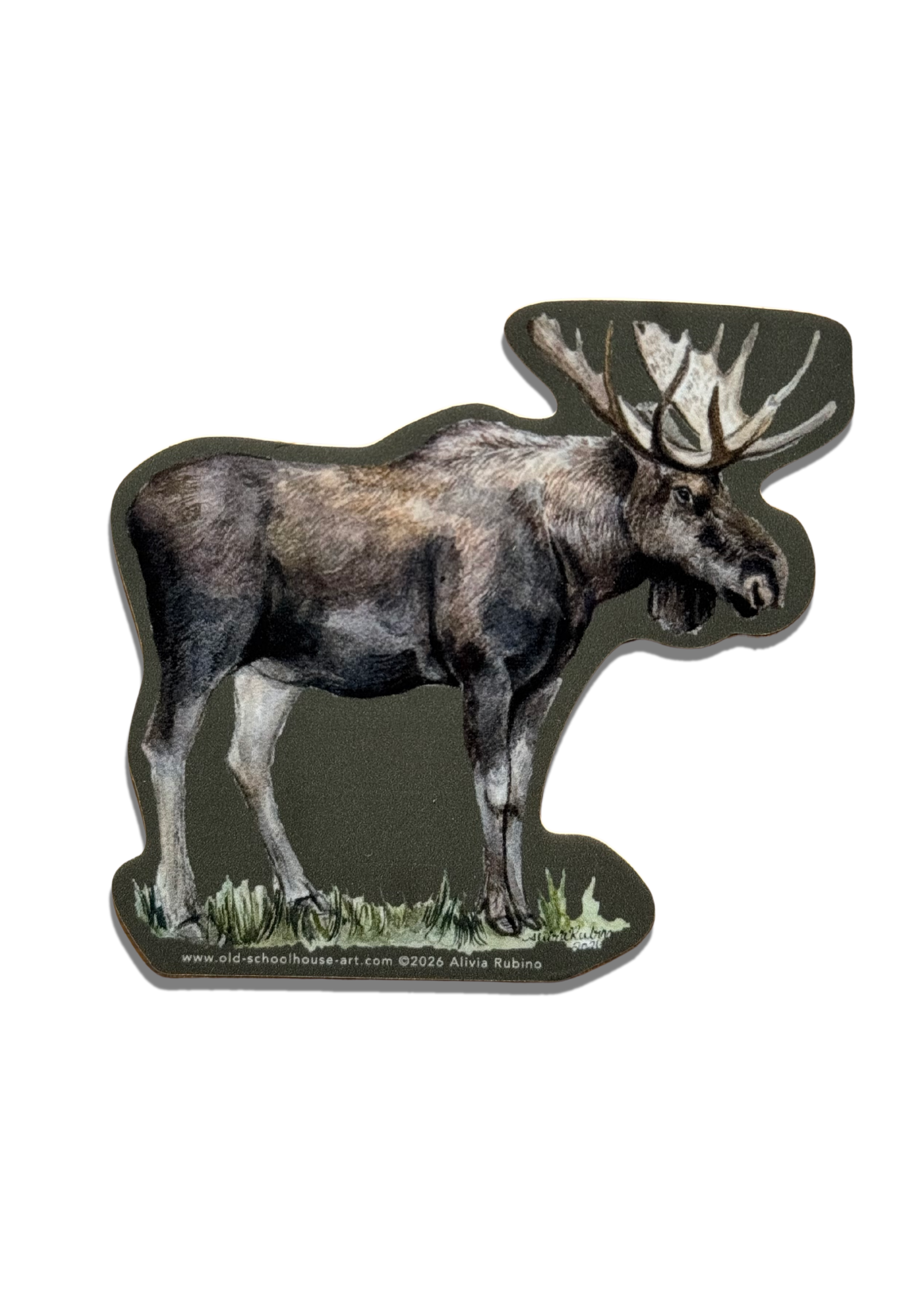 New England Woodland Moose Weatherproof Vinyl Sticker / Original Watercolor Design
