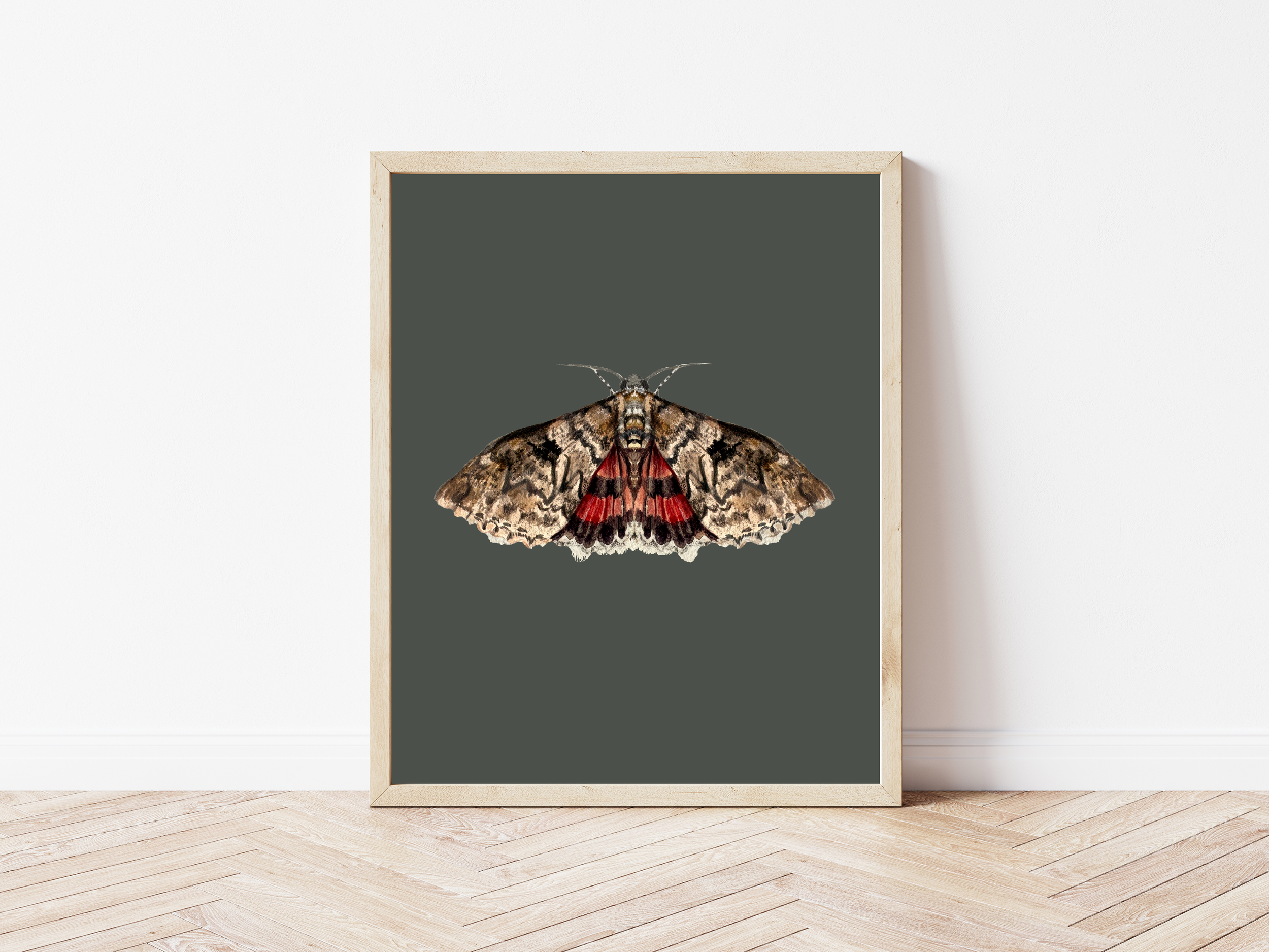 Underwing Moth/ Watercolor Painting Fine Art Print / Nursery Decor / Cottagecore / Homeware