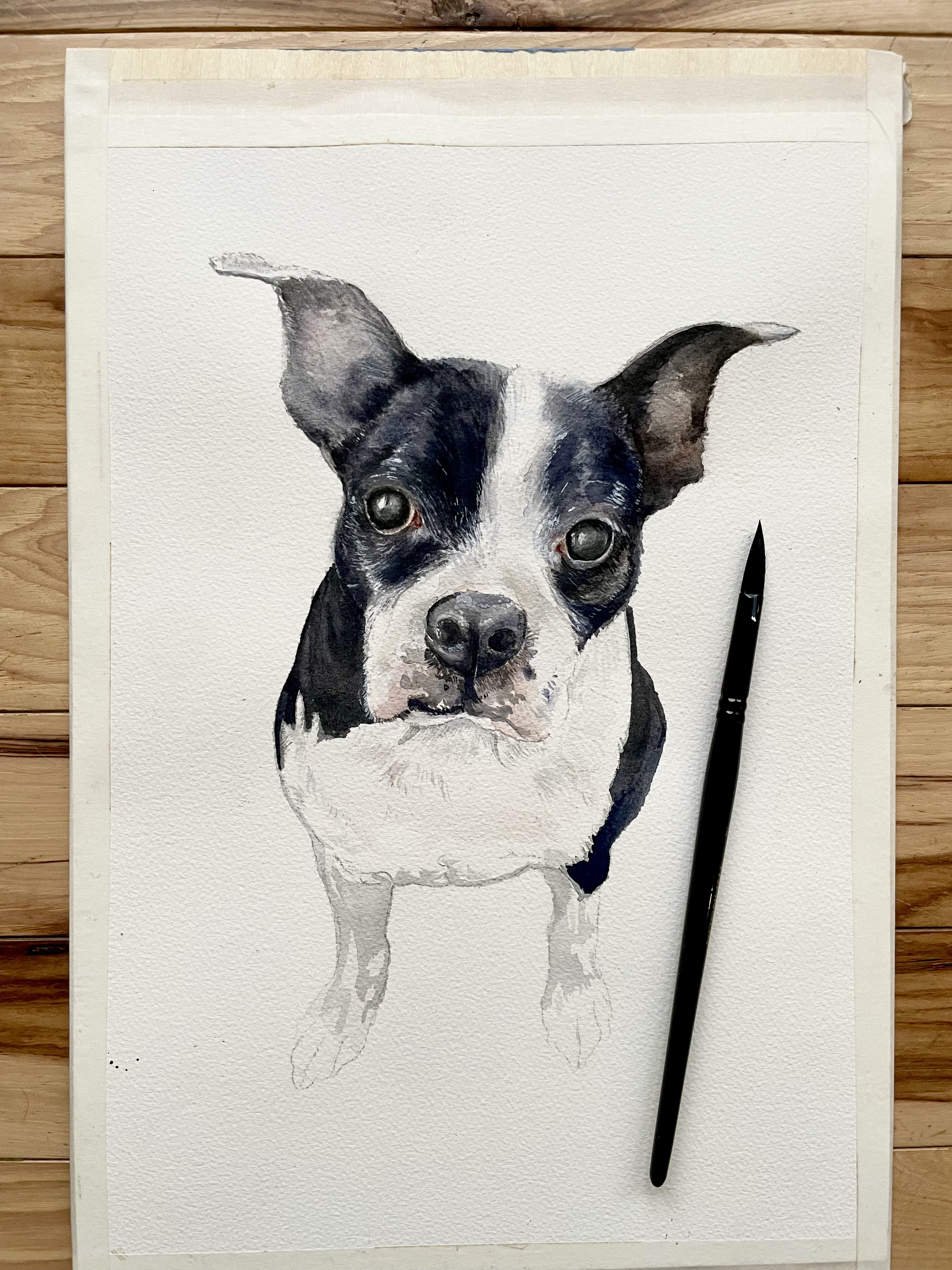 portraitofstephaniesdog.png