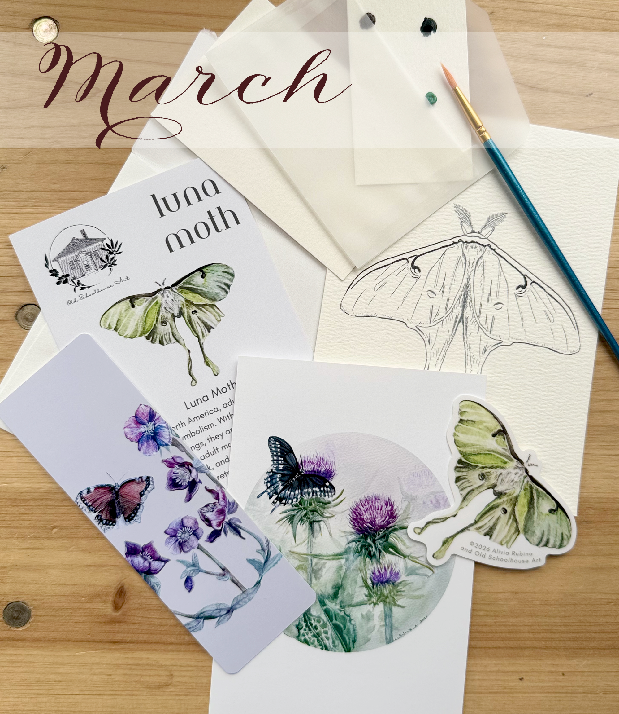 Snail Mail Art & Nature Club